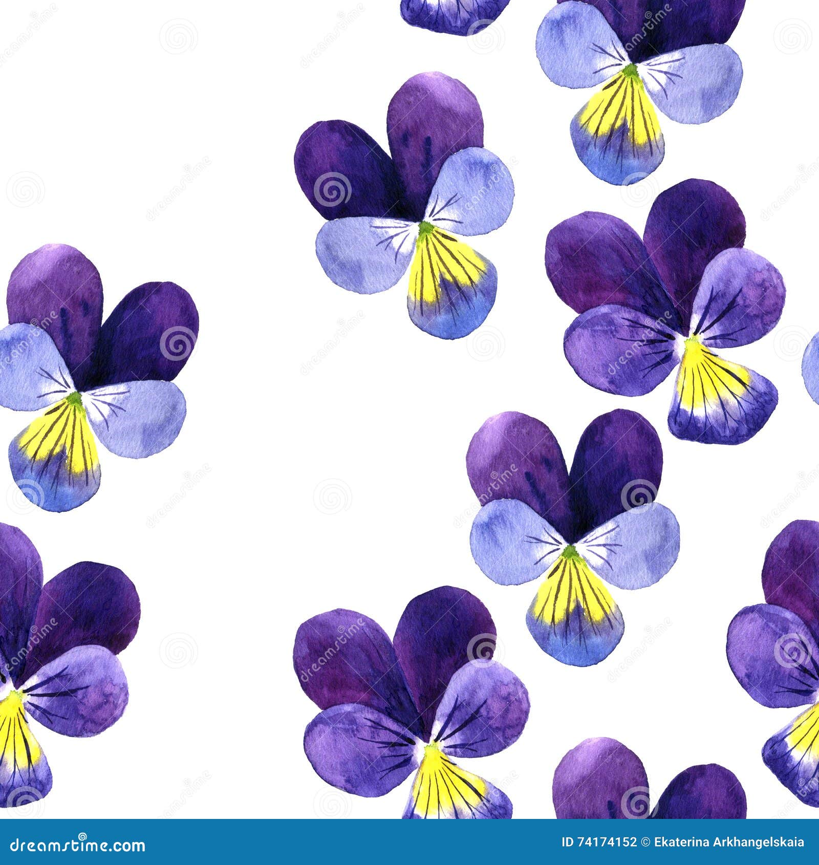 Modello Senza Cuciture Con I Fiori Viola Di Disegno Dell Acquerello Illustrazione Di Stock Illustrazione Di Dissipato Giardino