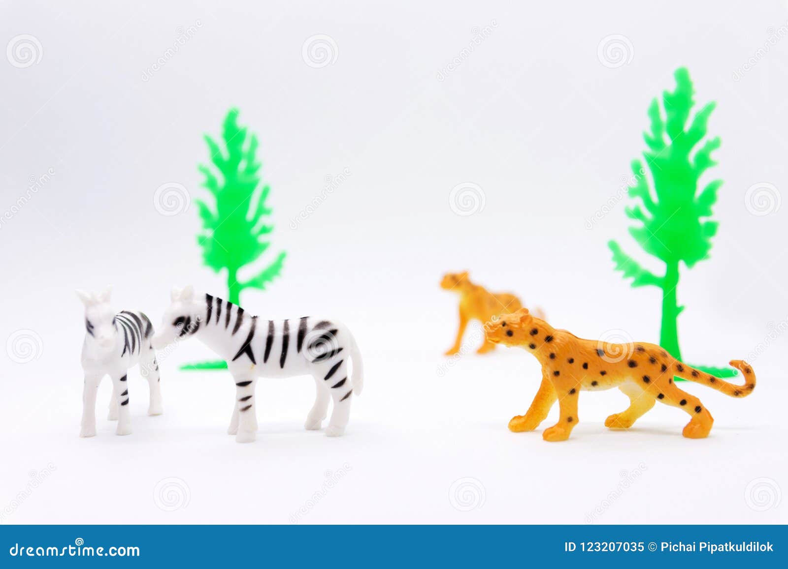 Modelo Del Leopardo Y De La Cebra Aislado En El Fondo Blanco, Animal A Imagen de archivo - Imagen de fondo, modelo: 123207035