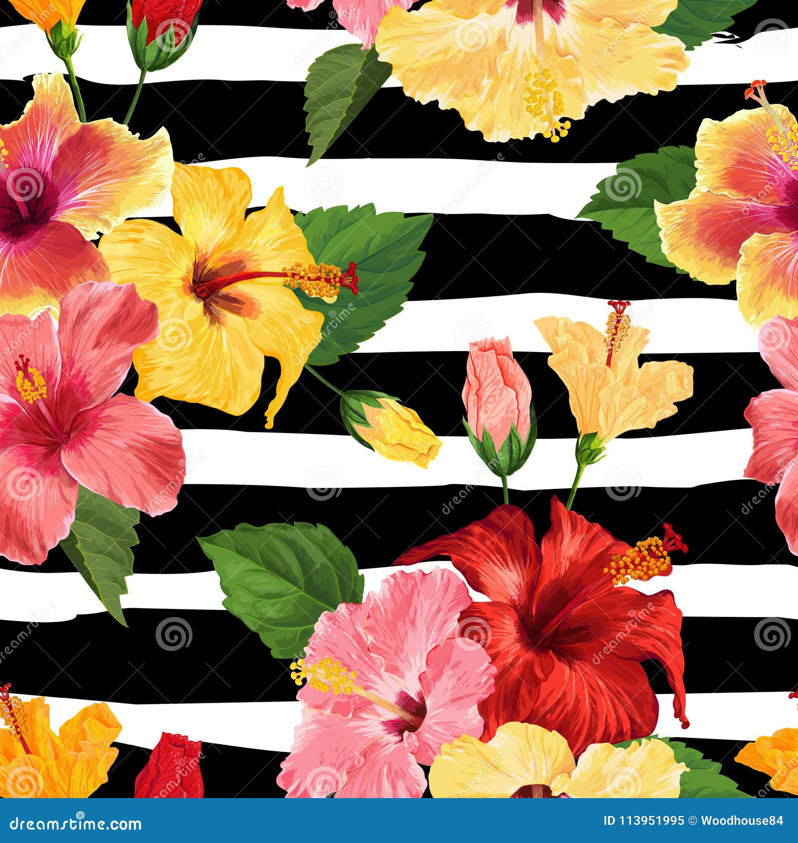 Modelo Inconsútil De La Flor Tropical Del Hibisco Fondo Floral Del Verano  Para La Materia Textil De La Tela, Papel Pintado, Decor Ilustración del  Vector - Ilustración de flora, hermoso: 113951995