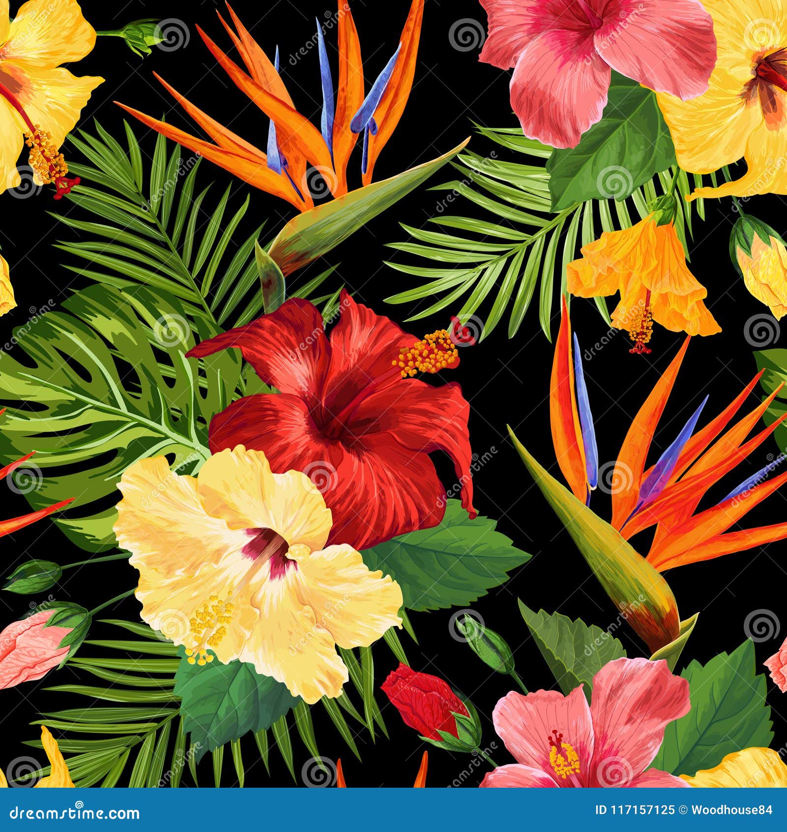 Modelo Inconsútil De Las Flores Tropicales De La Acuarela Fondo Dibujado Mano Floral Diseño Floreciente Exótico De Las Flores De Ilustración del Vector - Ilustración de manera, extracto: 117157125 Modelo Inconsútil De Las Flores Tropicales De La Acuarela Fondo Dibujado Mano Floral Diseño Floreciente Exótico De Las Flores De Ilustración del Vector - Ilustración de manera, extracto: 117157125