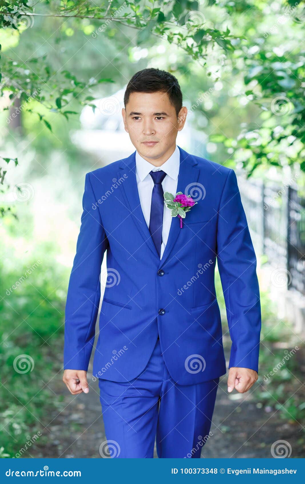 Modelo Masculino, El Retrato Del Novio En Traje Azul Con Boutonniere Entre El Follaje Verde En Un Día De Boda Foto de archivo - Imagen de juego, hierba: