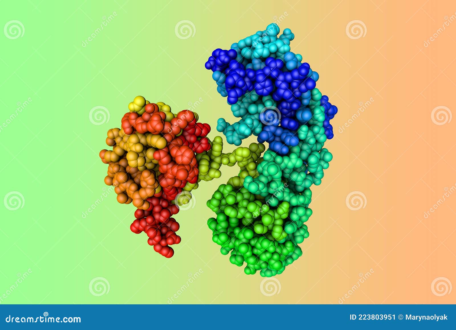 Modelo Molecular De Relleno Espacial De Toxina Nucleótida Diftérica.  Representación Basada En La Entrada En El Banco De Datos De P Stock de  ilustración - Ilustración de esencial, elemento: 223803951
