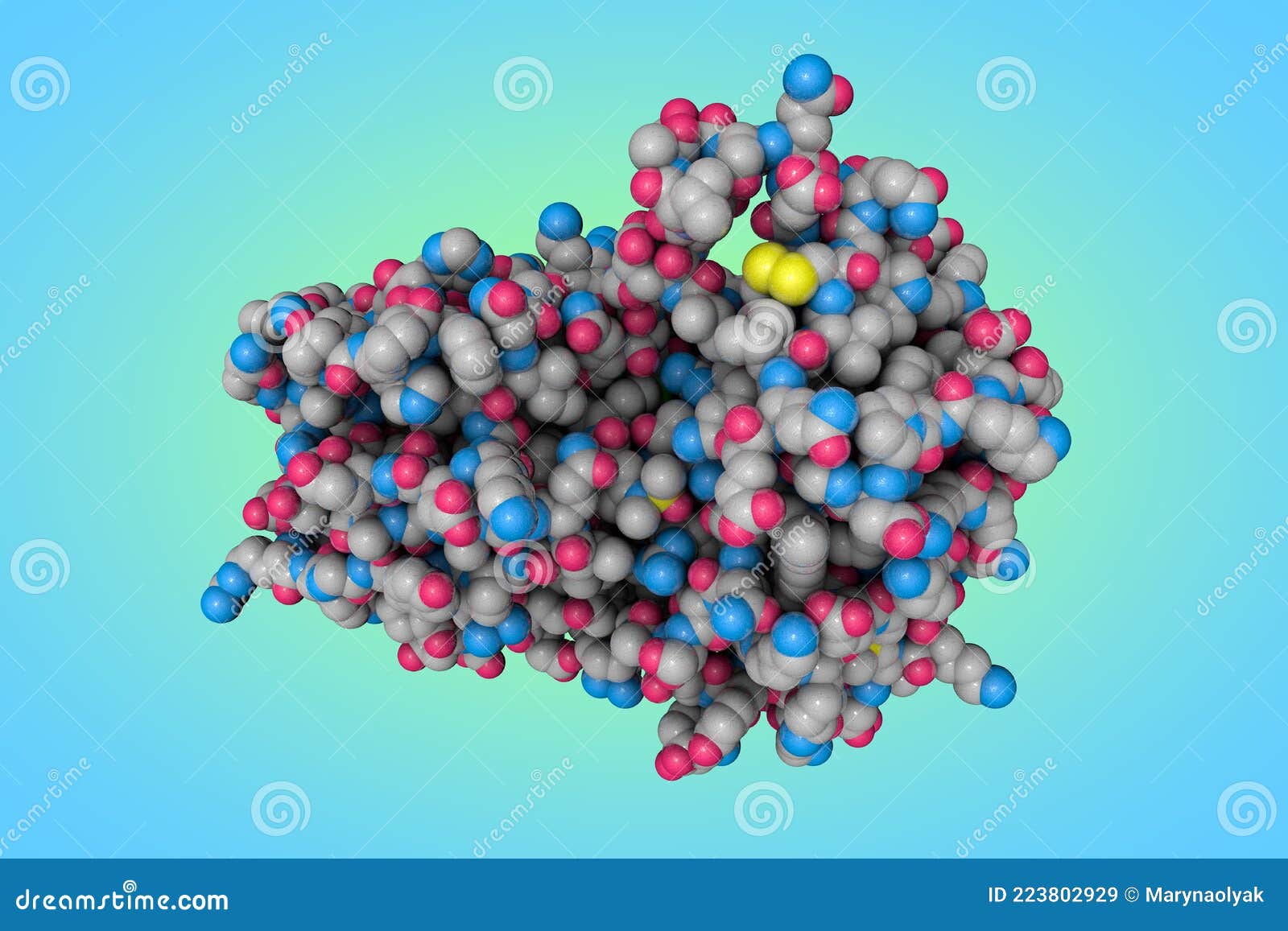 Modelo Molecular Espacial De Base De La Beta Secretasa Humana En Complejo  Con Inhibidor. Se Investigan Inhibidores De Base Stock de ilustración -  Ilustración de complejo, importante: 223802929