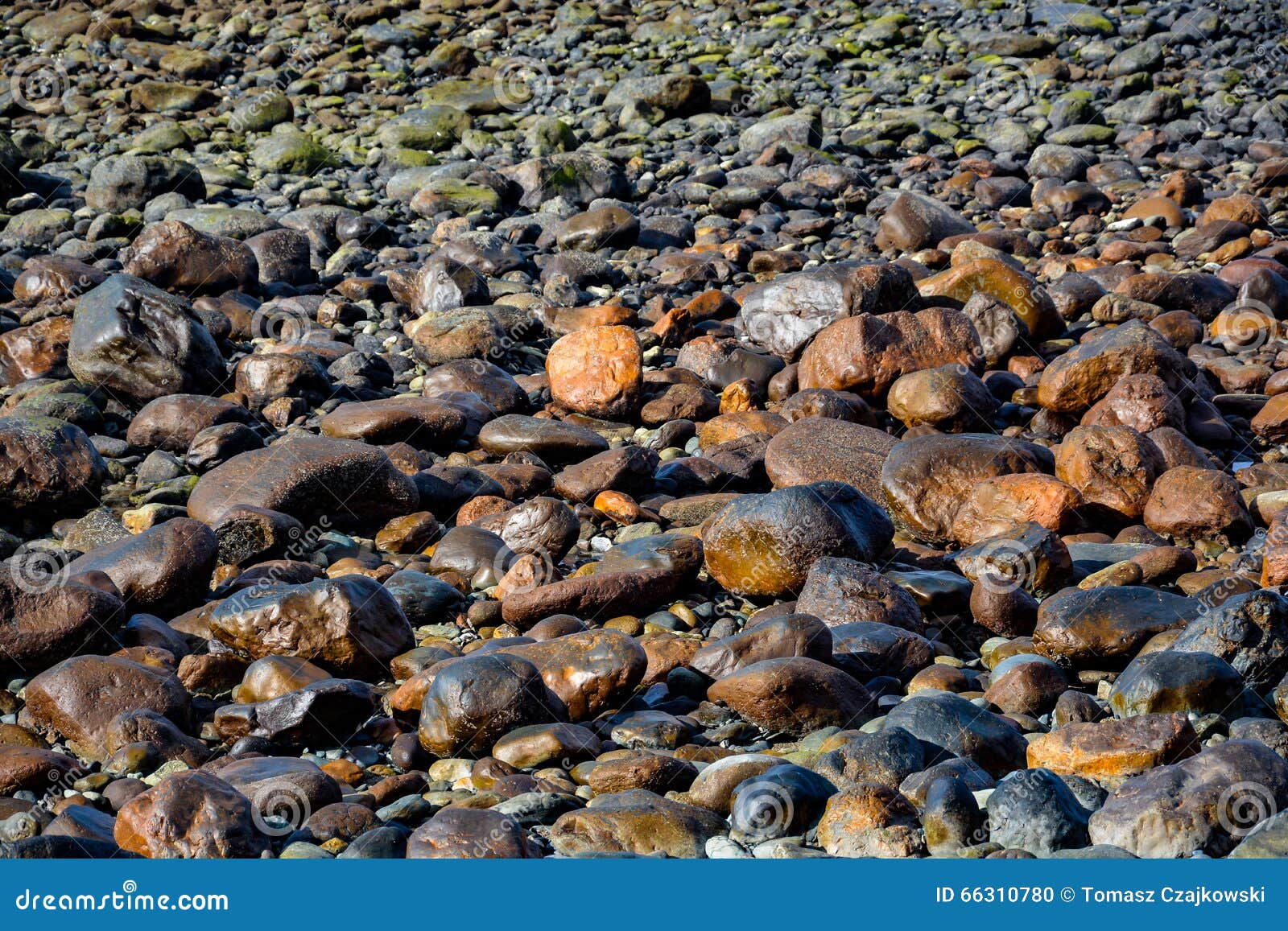 Modelo, textura o fondo de las piedras mojadas que mienten en una playa