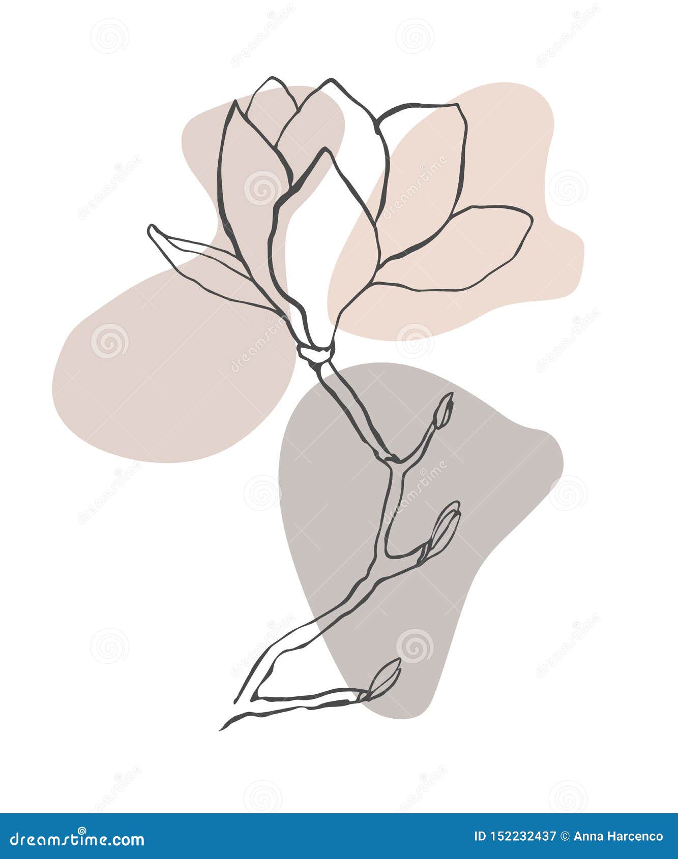 Modern Abstract Shapes Vector Background or Layout. Contour Line Drawing  Flower of Magnolia Stock Illustration - Illustration of drawing, event:  152232437