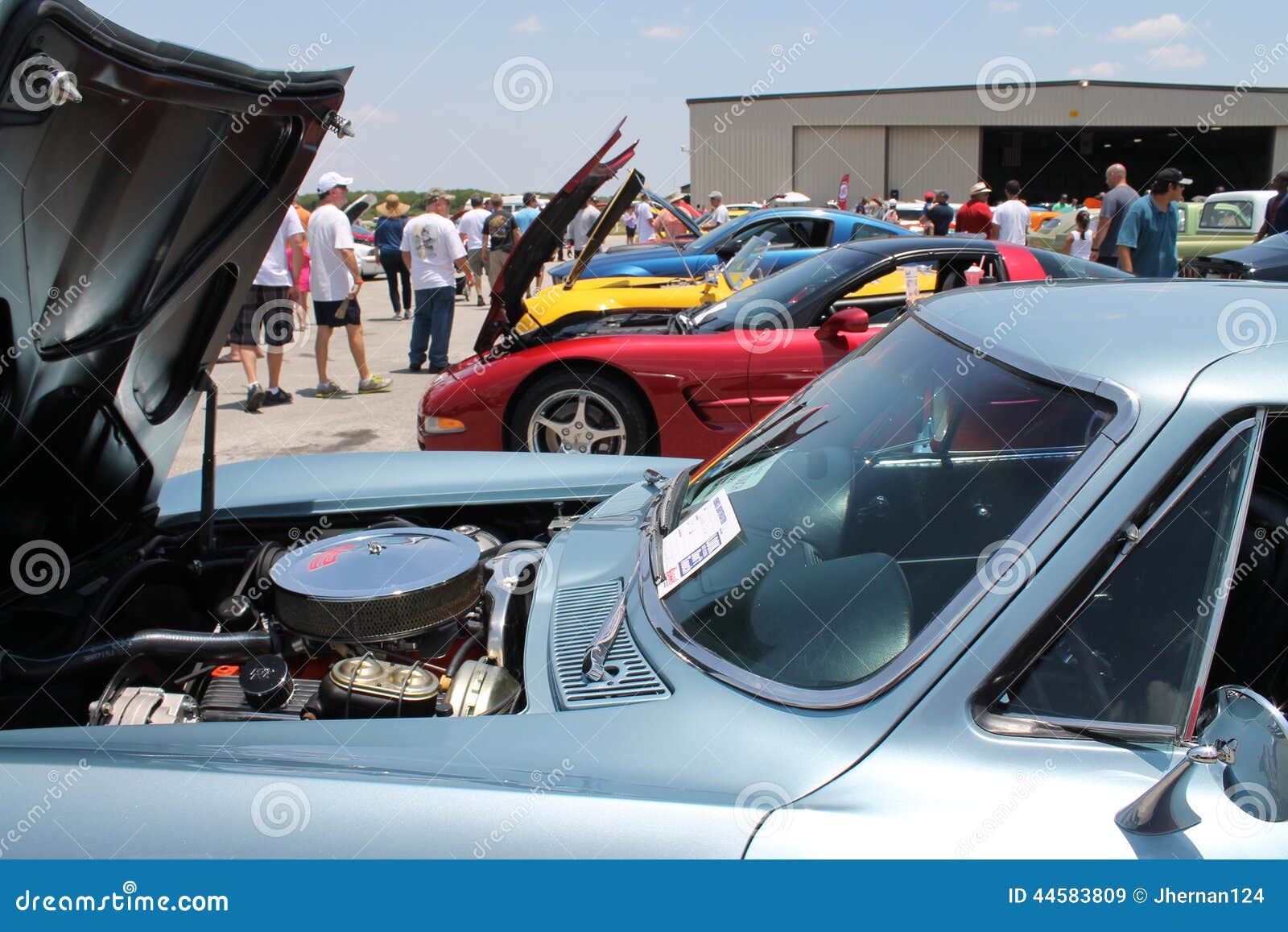Modern American Muscle Cars Lined Up Editorial Stock Image Image Of Celeste Daylight Modern American Muscle Cars Lined Up Editorial Stock Image Image Of Celeste Daylight