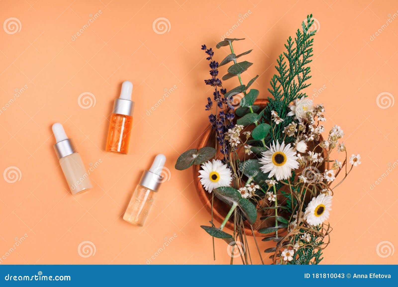 Modern Apothecary Concept Stock Image Image Of Green 181810043