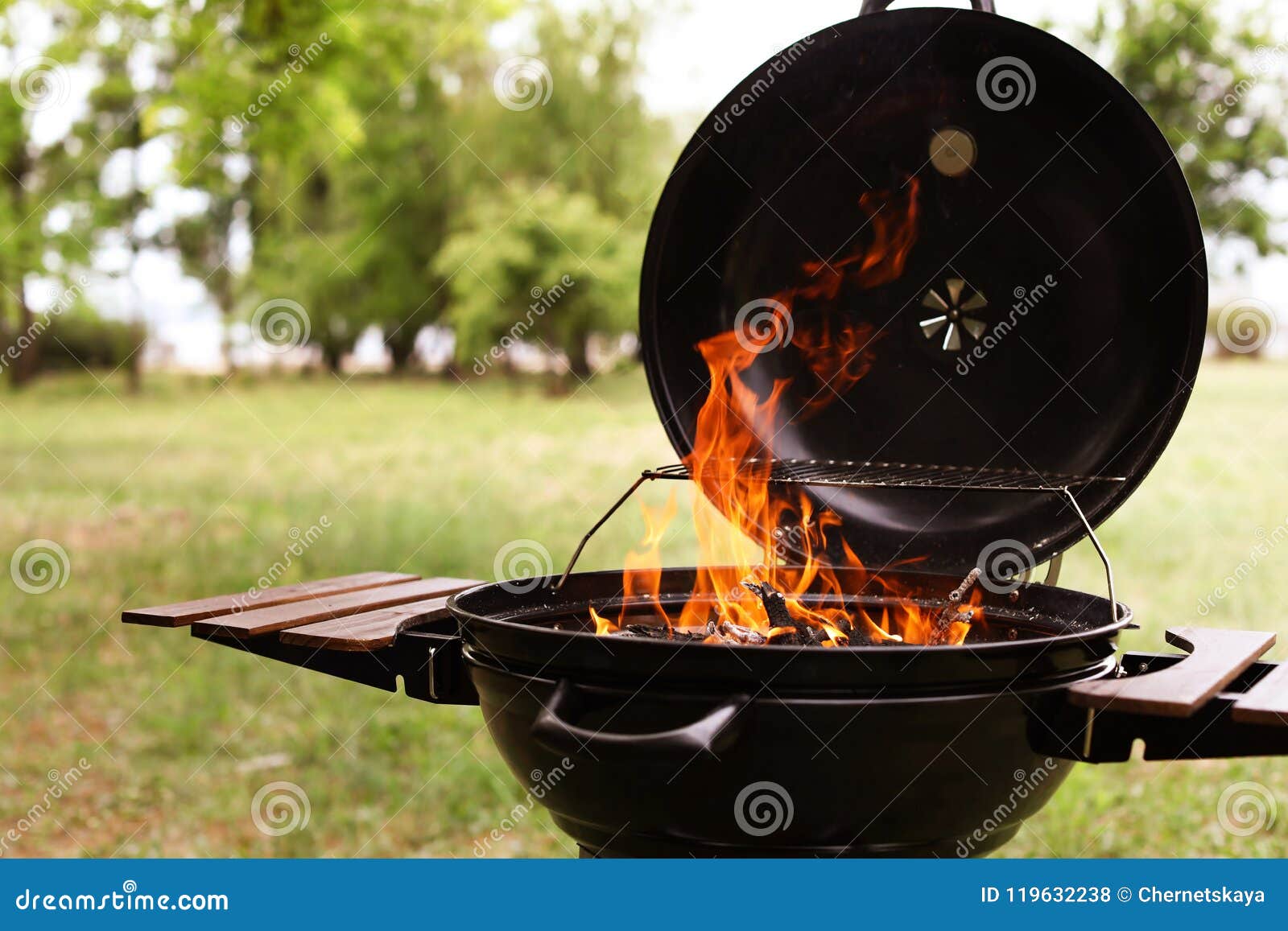 Modern Barbecue Grill with Fire Flames Stock Photo Image of dinner