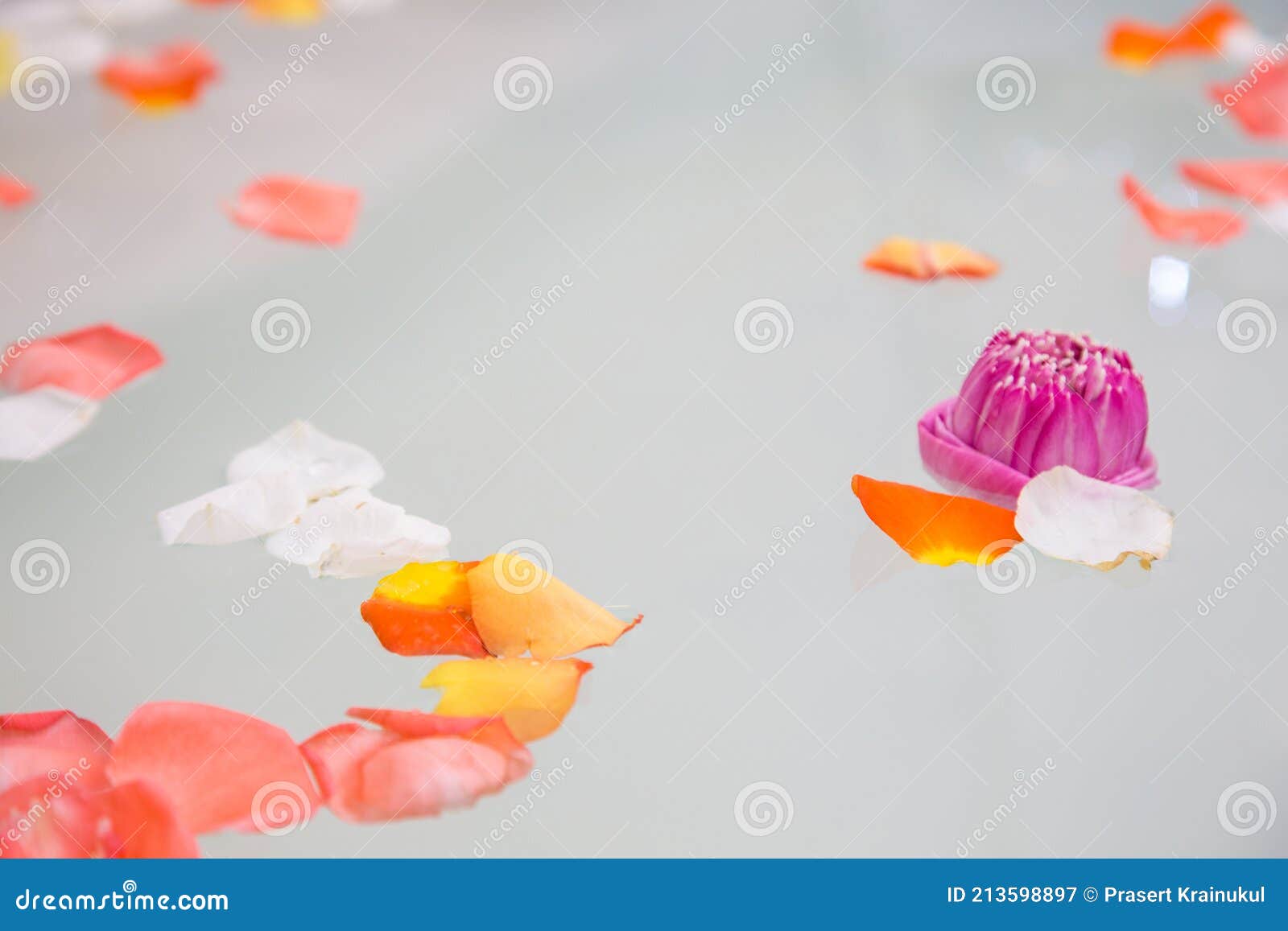 Modern Bathroom with Rose and Lotus Petals Stock Image Image of bathe