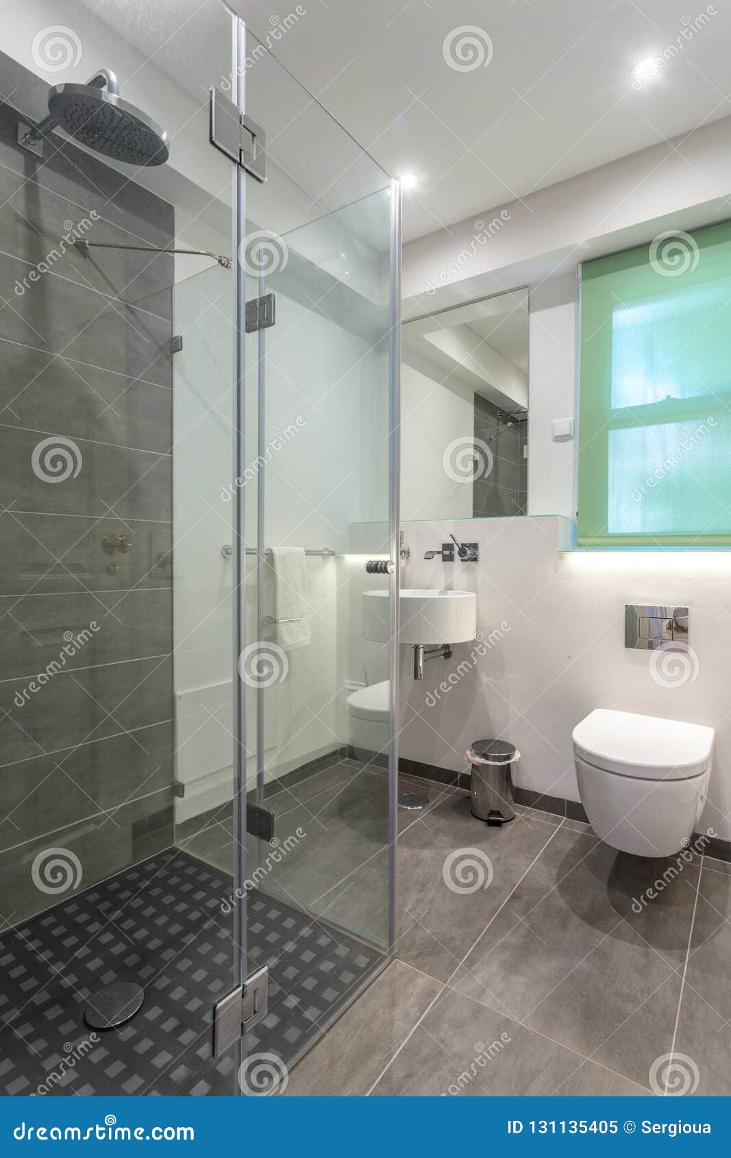 Modern Bathroom Shower Room with Toilet and Amenities. Stock Image