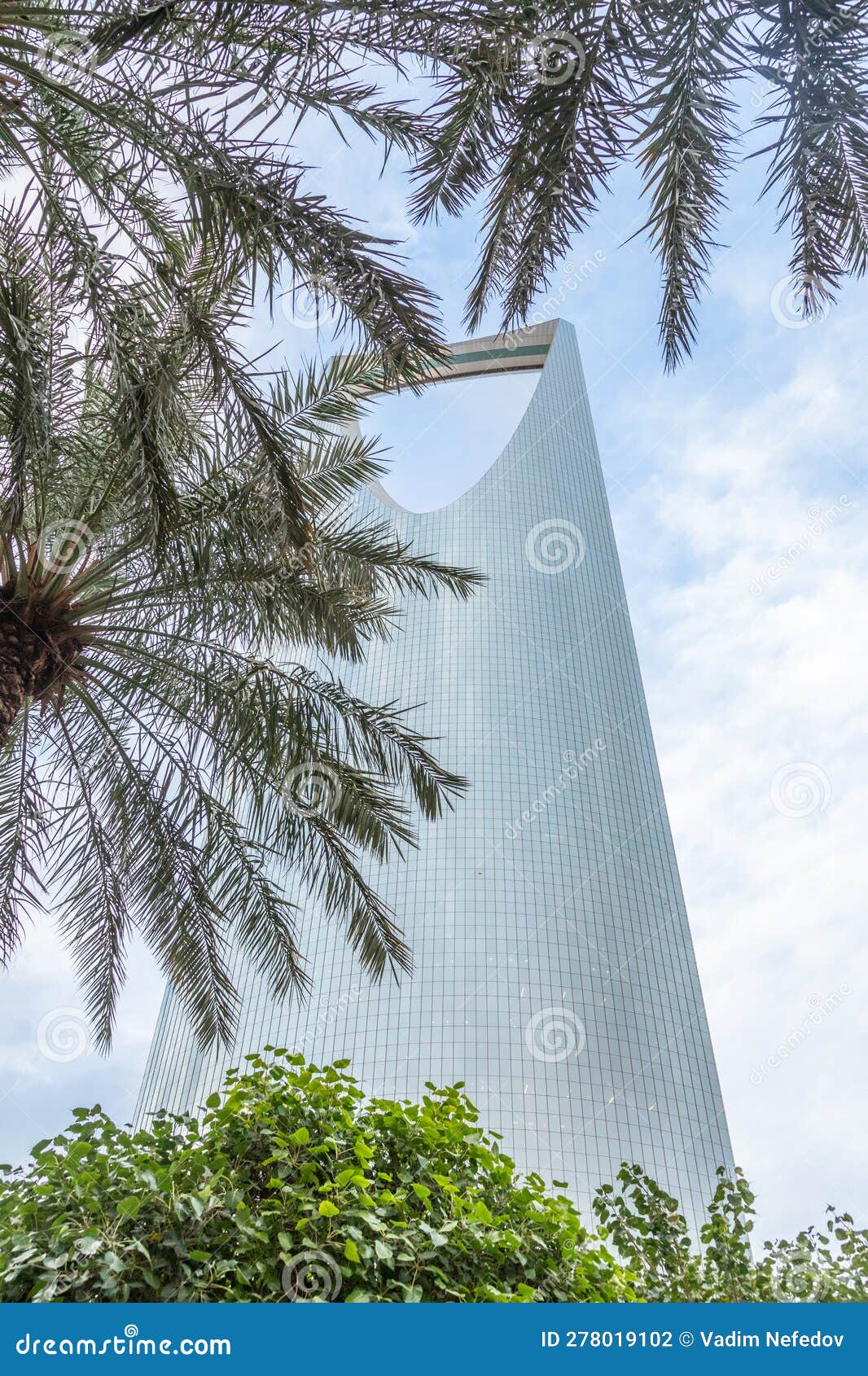 modern buildings in the al olaya downtownt district with palms in the foreground, al riyadh