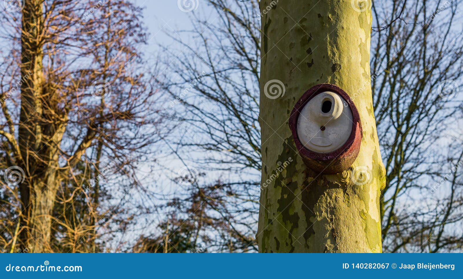 Modern Ceramic Birds House Hanging on a Tree Trunk, Garden Decorations Stock Image Image of