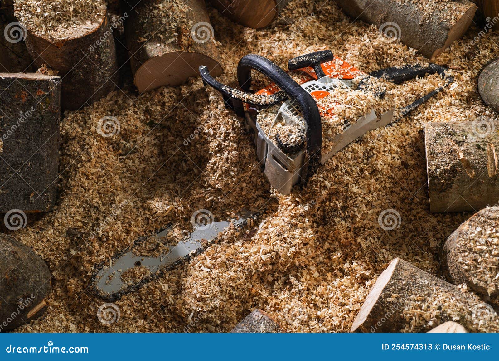 Modern Chain Saw and Firewood Stock Image Image of firewood, chain