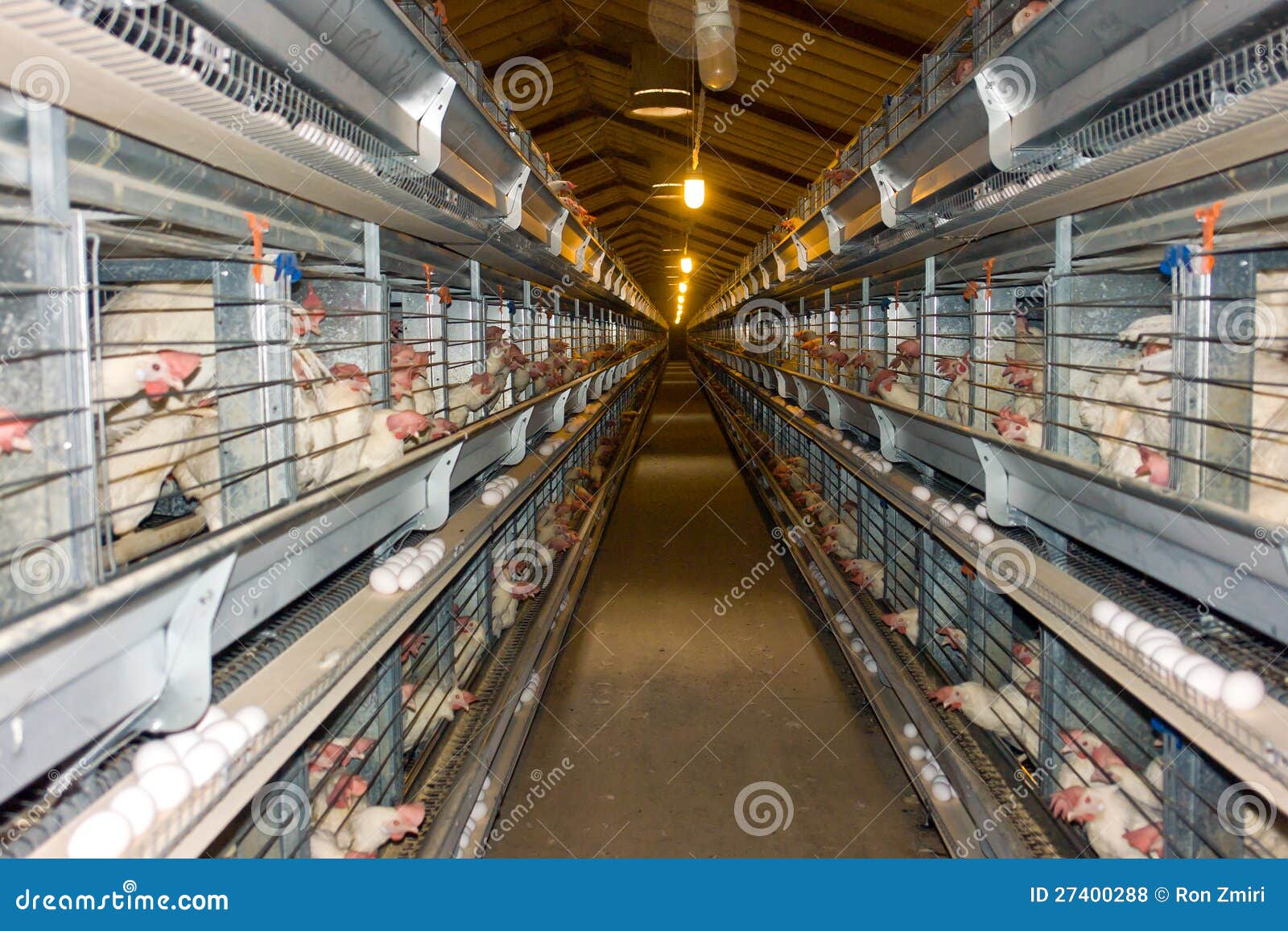 Modern Chicken Coop Farm Royalty Free Stock Photos - Image: 27400288