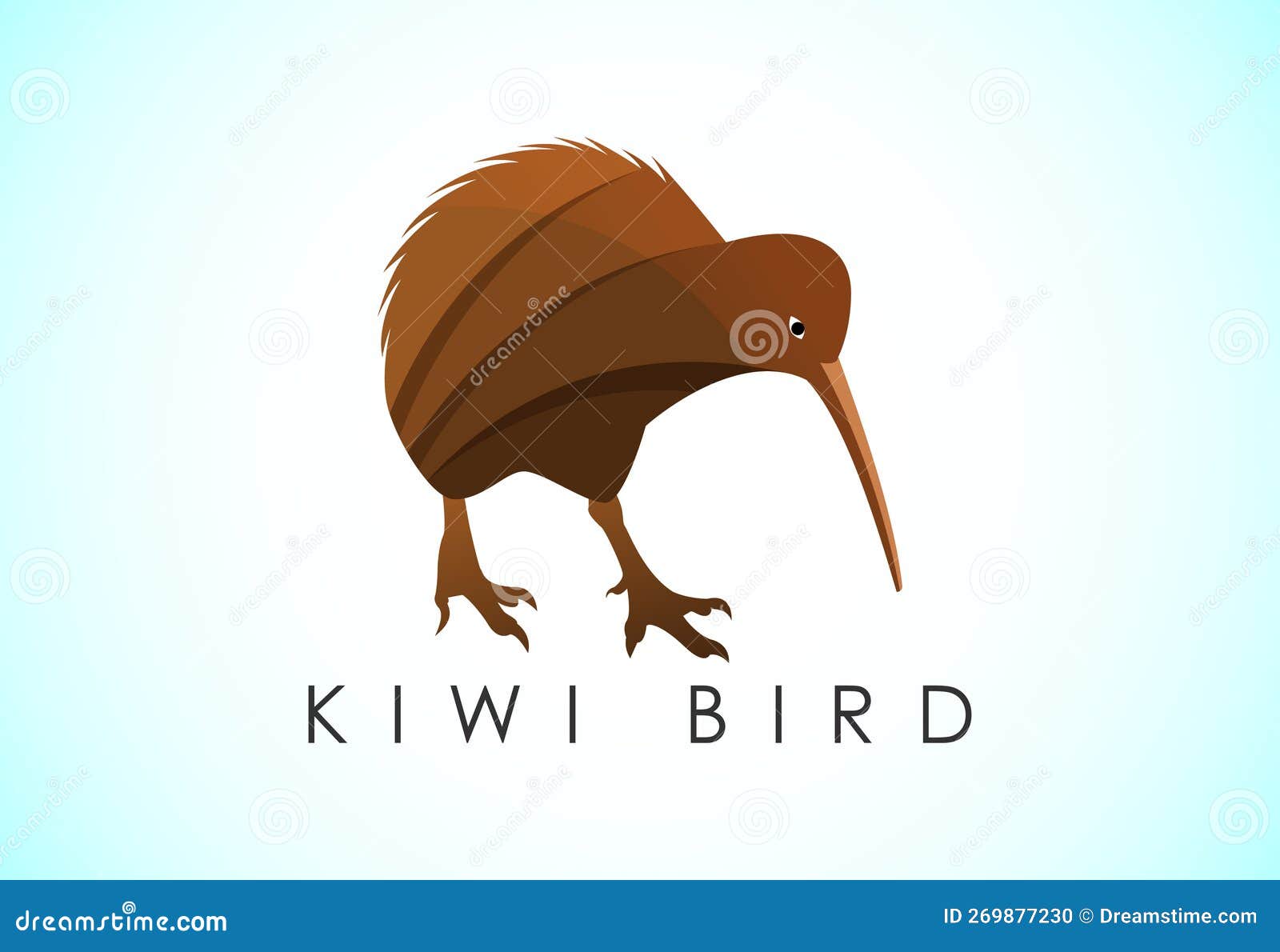 modern colorful kiwi bird logo  template 