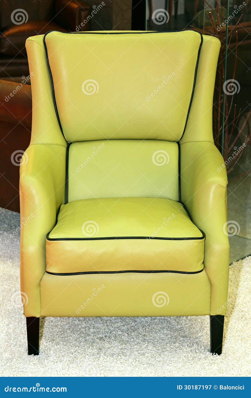 Armchair stock image. Image of soft, home, leather, style 30187197