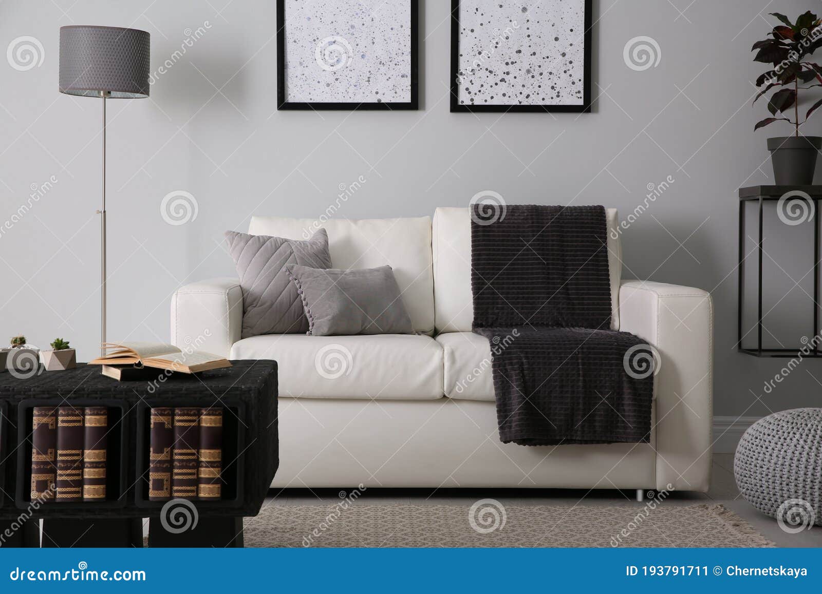 Modern Comfortable Sofa in Living Room Interior Stock Image Image of