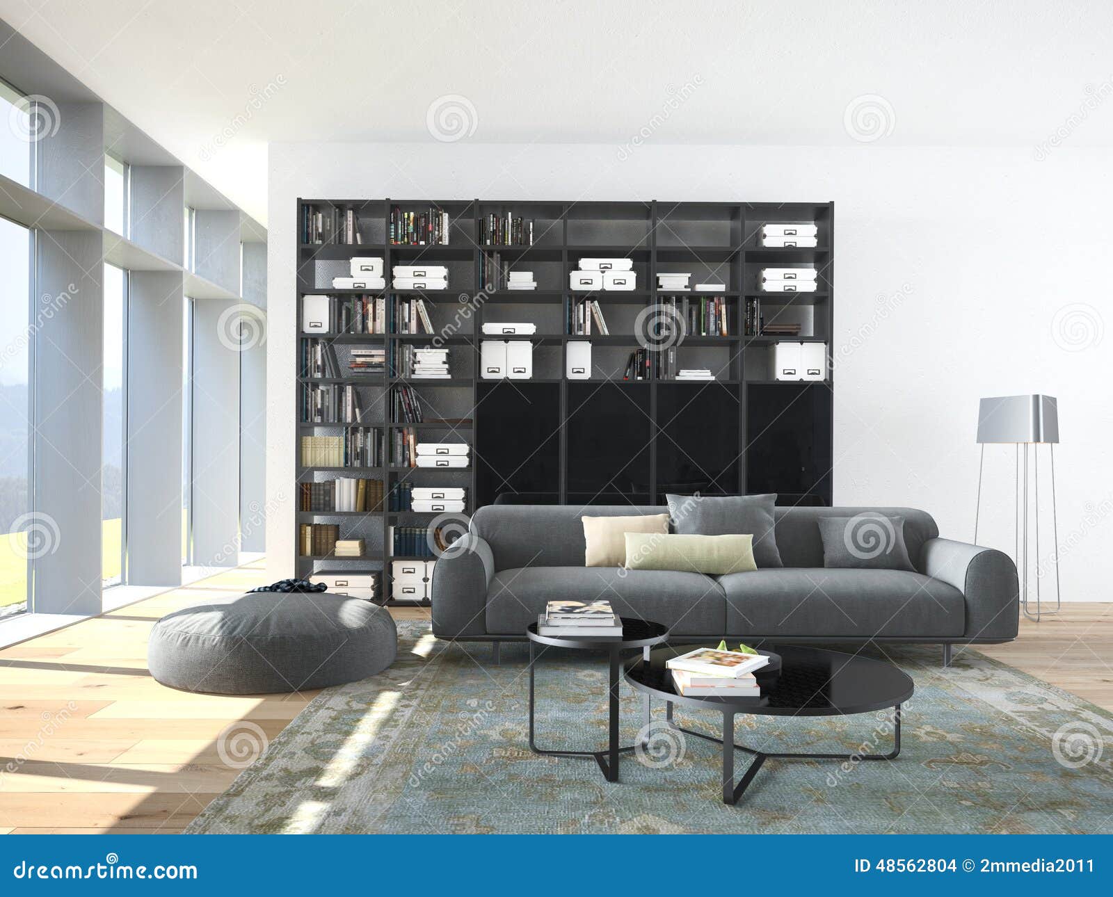 Modern Couch and Wood Bookcase in a Living Room. Stock Photo Image of