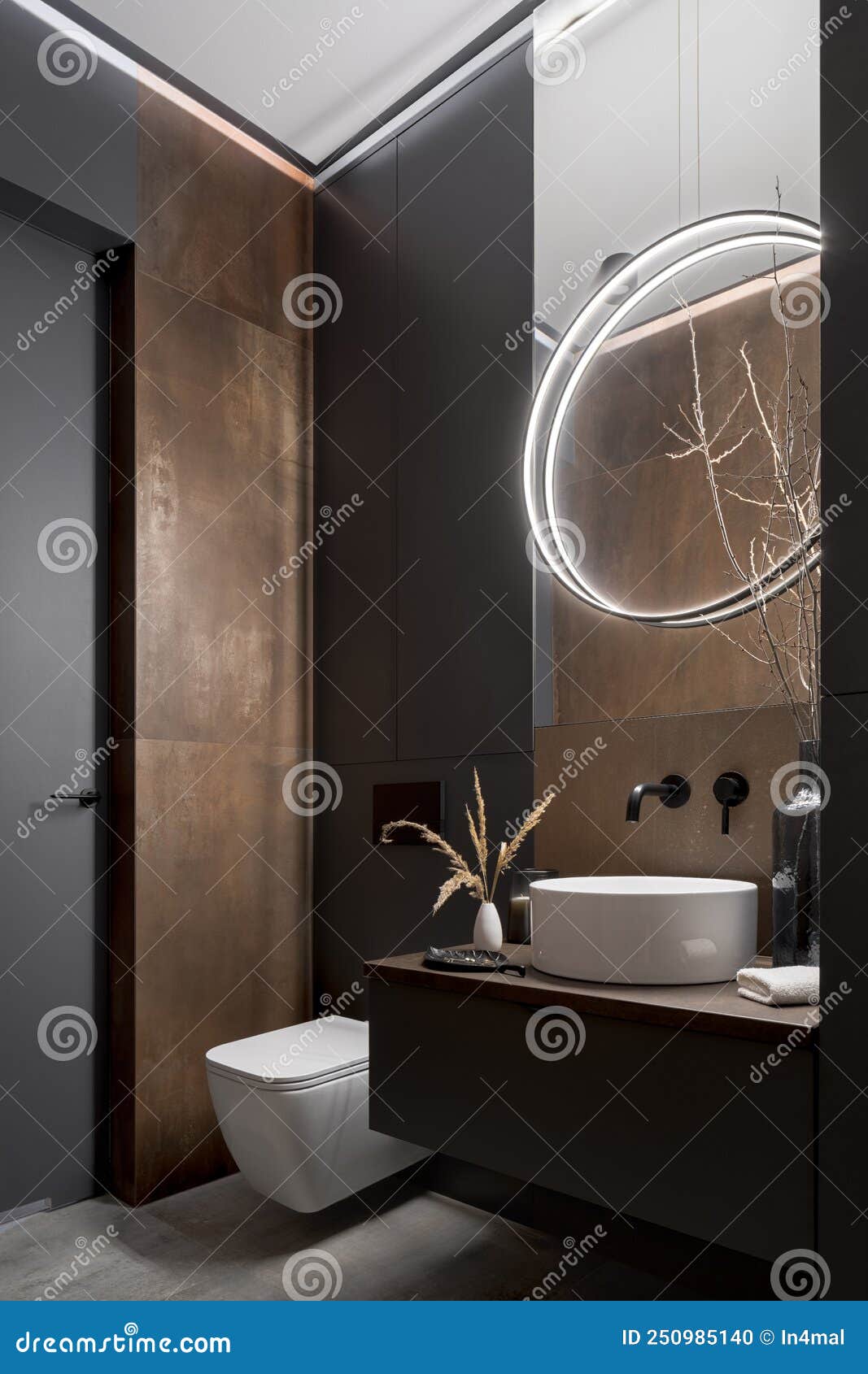 Modern and Elegant Bathroom Stock Photo - Image of indoor, lamp: 250985140