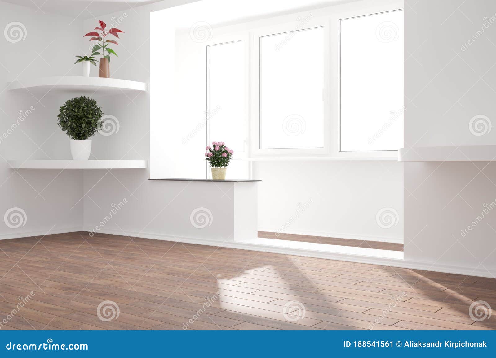 modern empty room with shelves with plantsinterior . 3d 