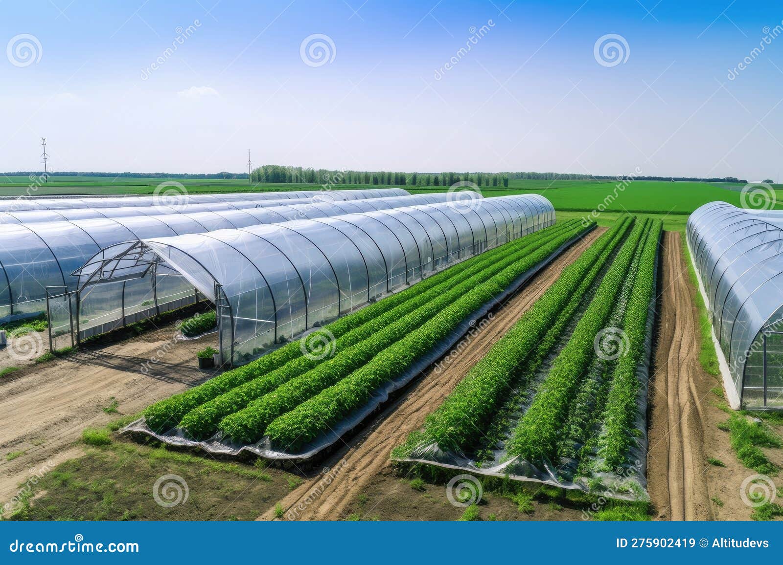 Modern Farm, with Advanced Technologies and Equipment, Producing High- quality Products Stock Illustration - Illustration of greenhouse,  sustainable: 275902419