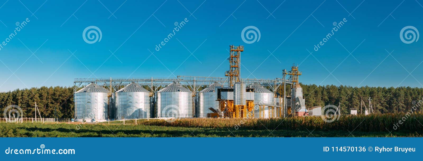 modern granary, grain-drying complex, commercial grain or seed silos