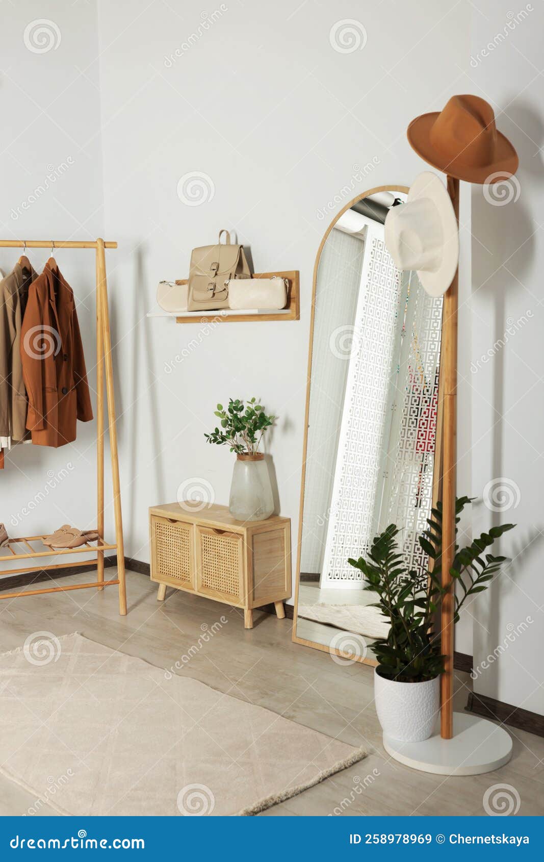 Modern Hallway Room Interior with Large Mirror and Clothing Rack Stock