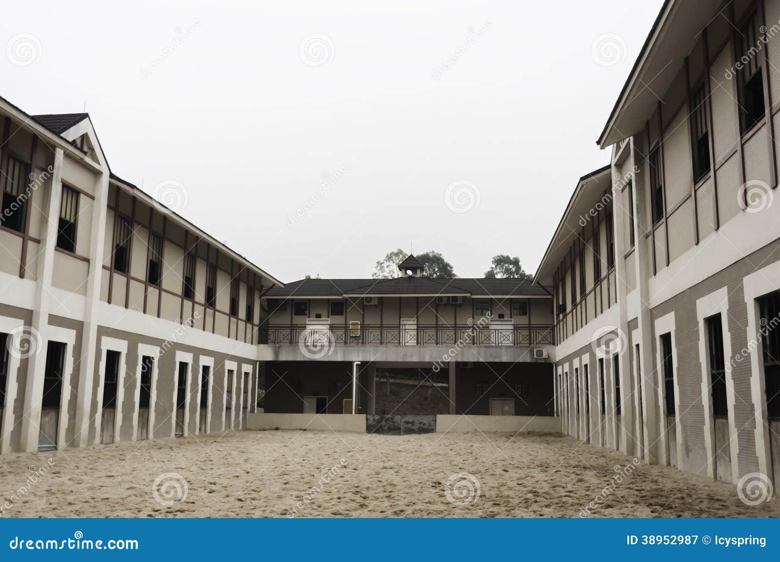Modern Horse Barn Stock Image Image Of Looking Mammal 38952987