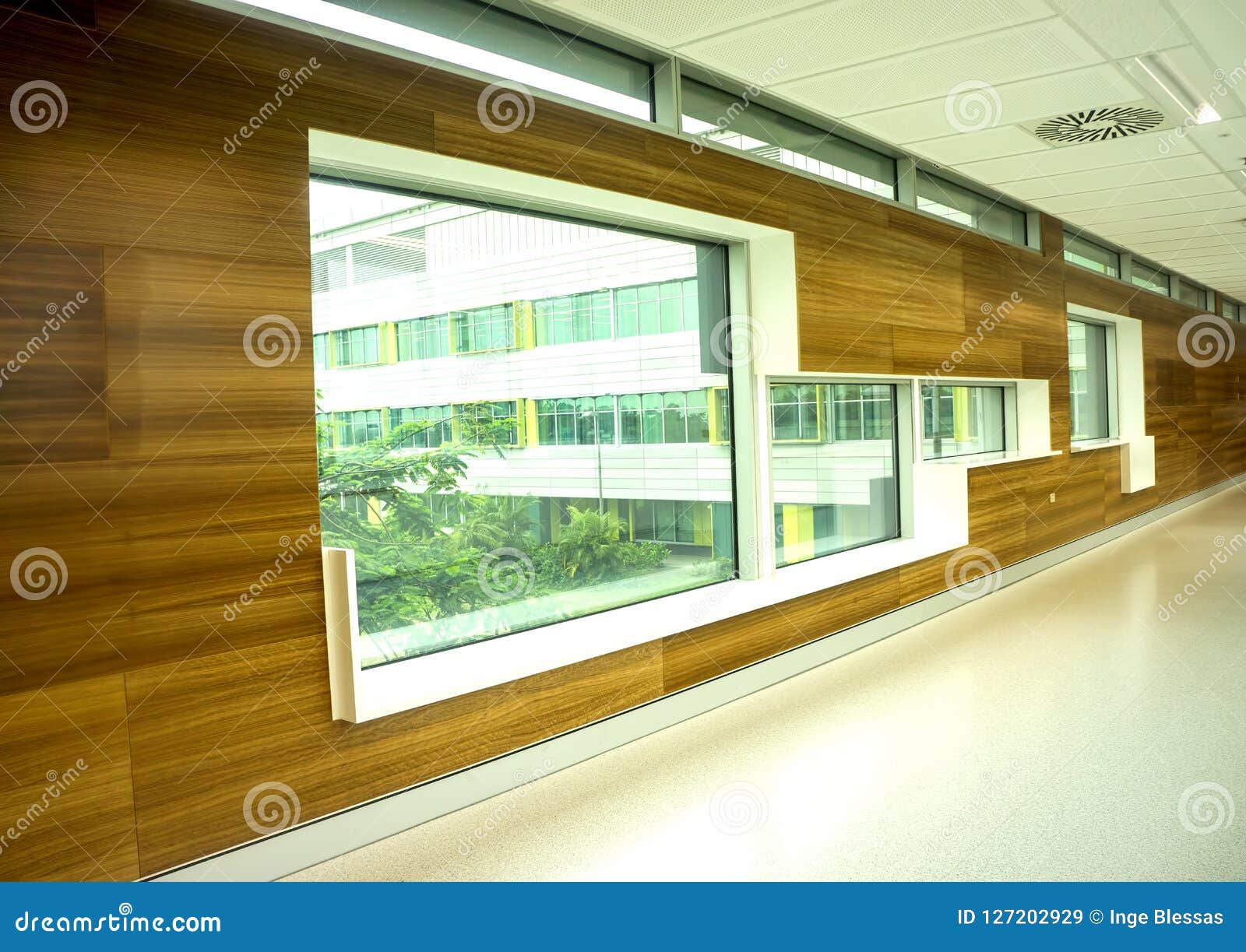 Modern Hospital Corridor In Tropical Queensland Stock Image
