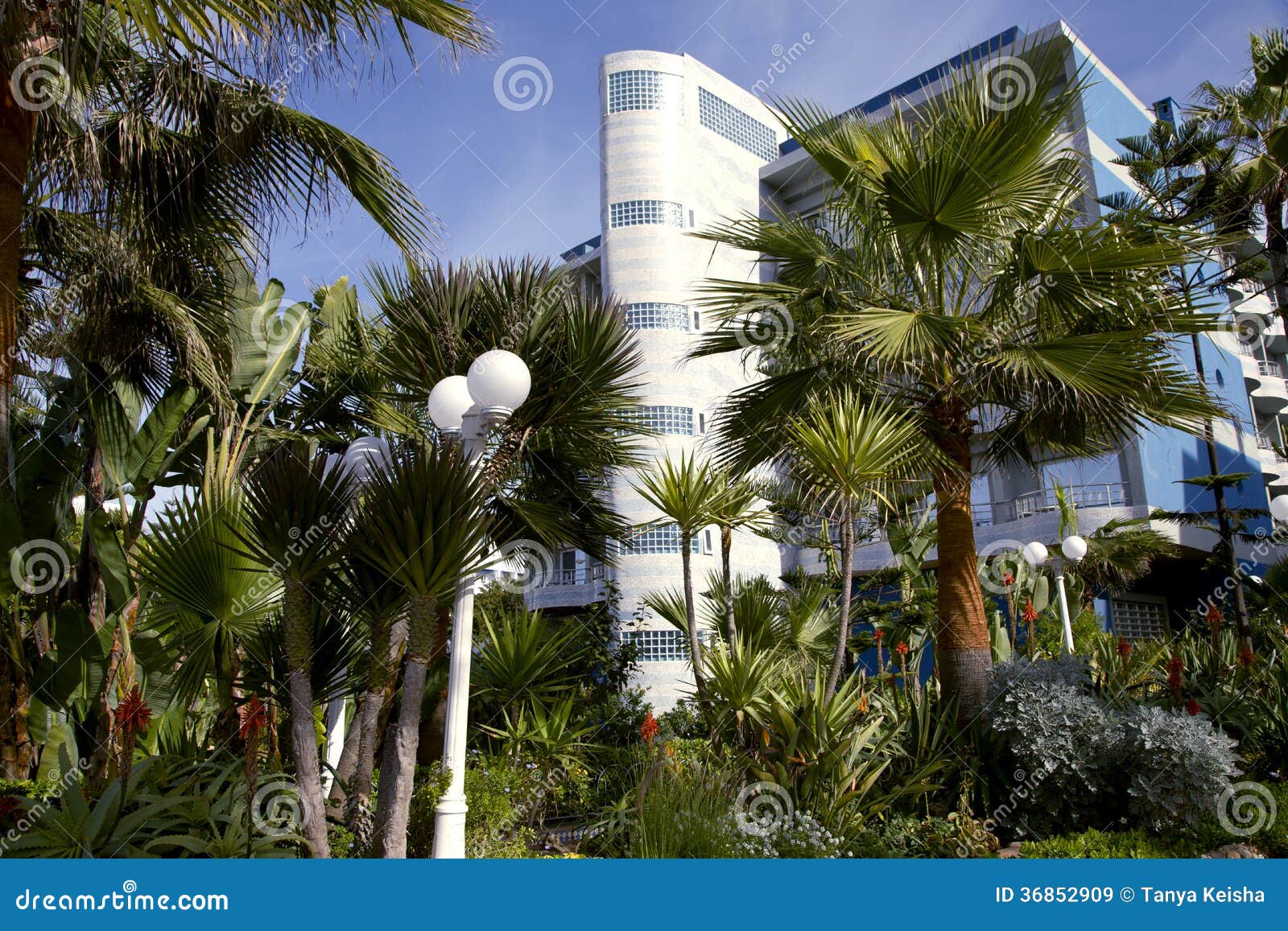 modern hotel with a wonderful garden in casablanca