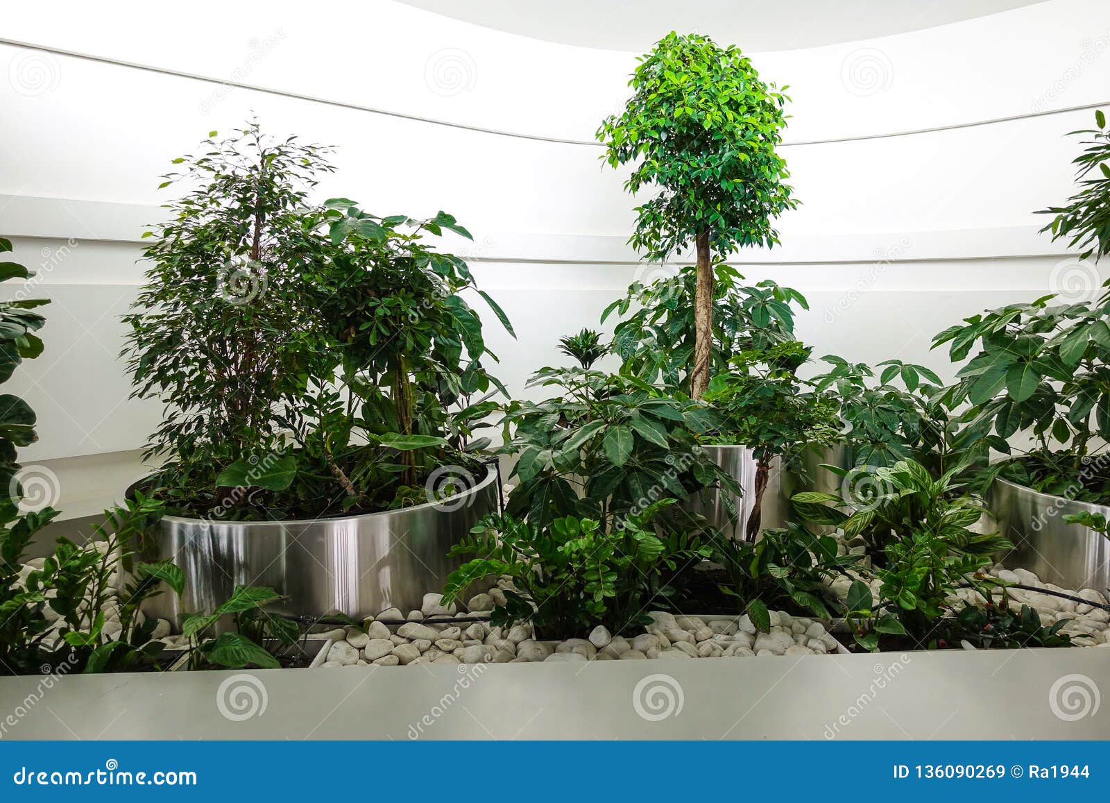 Modern Interior Design With Indoor Plants Stock Image