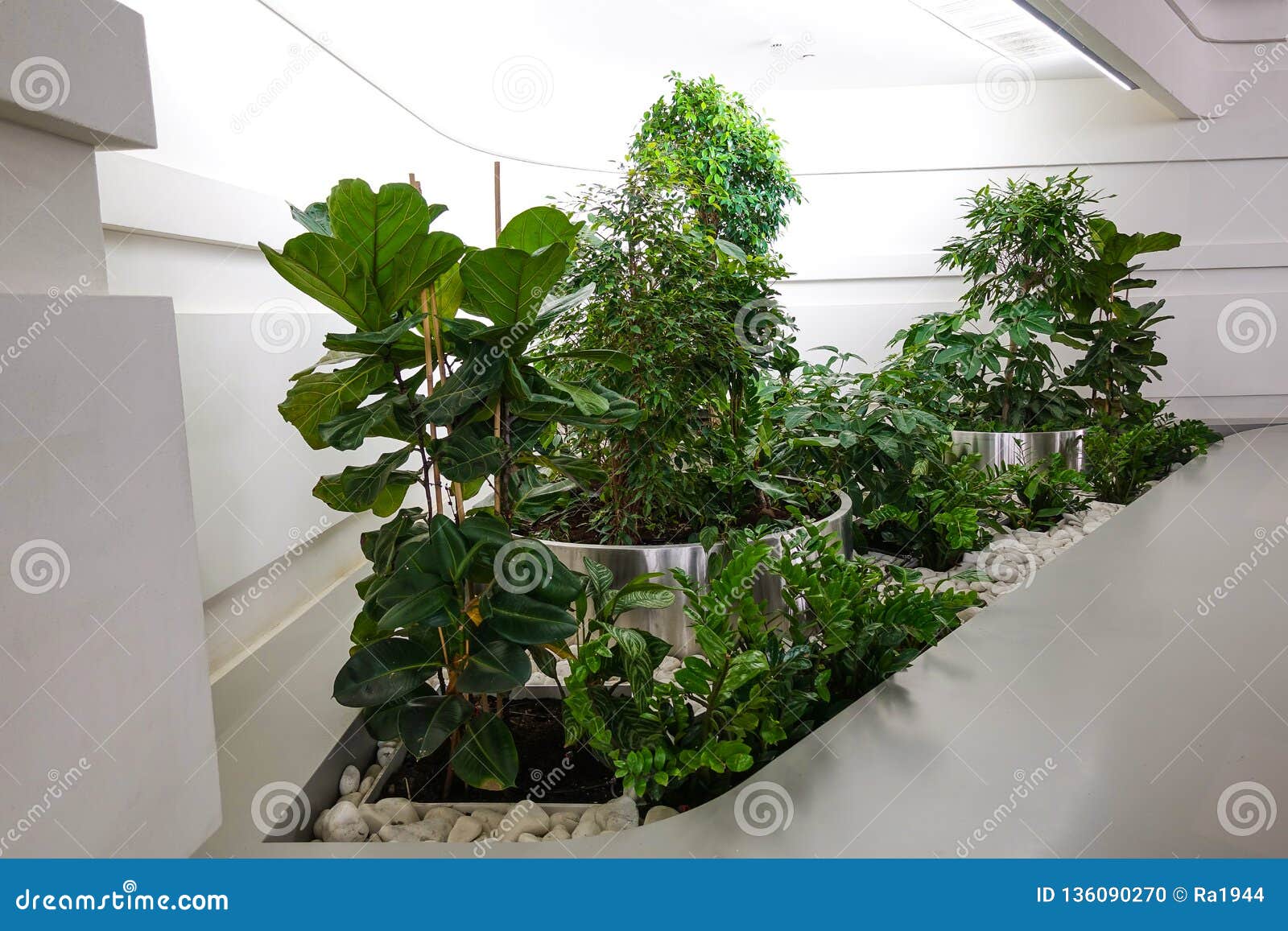 Modern Interior Design with Indoor Plants Stock Photo - Image of  decorative, decoration: 136090270, image size:1600x1157