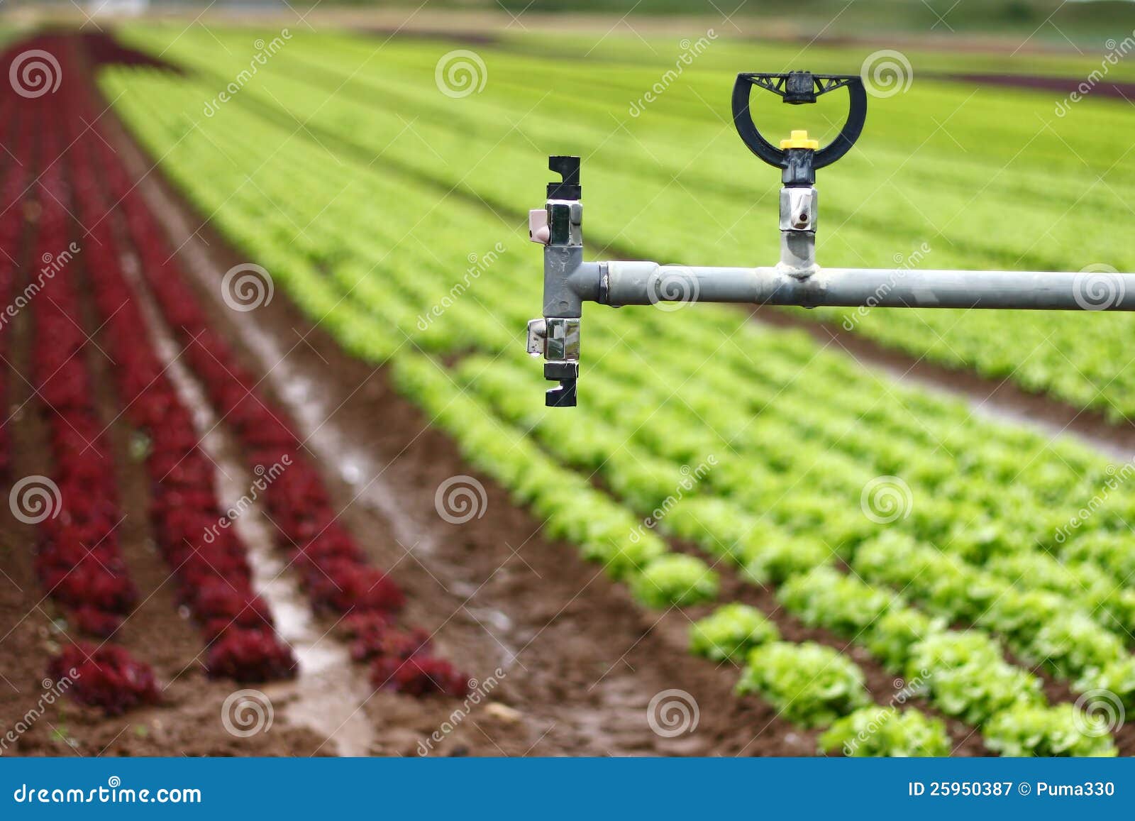 modern irrigation system - details