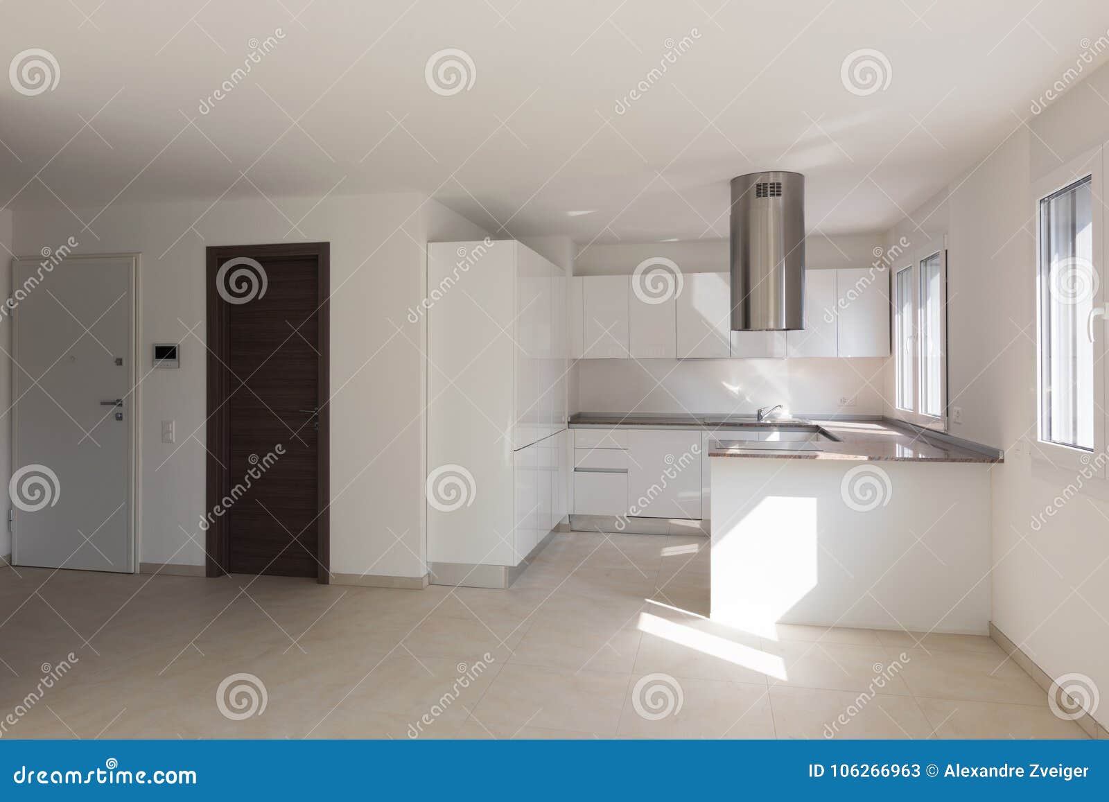 modern apartment, two doors, kitchen