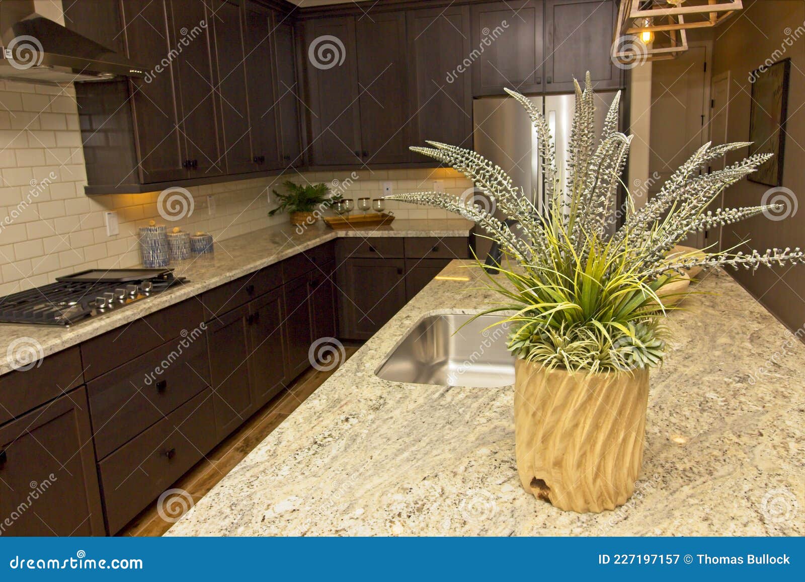 Modern Kitchen Counter Top Island with Plant Stock Image Image of