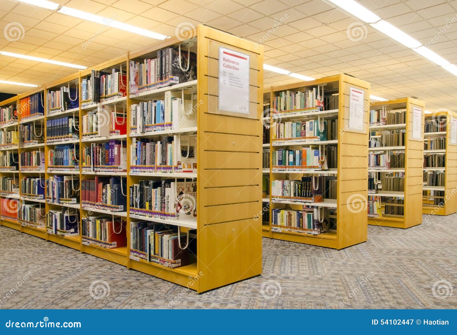 https://thumbs.dreamstime.com/z/modern-library-reference-section-54102447.jpg