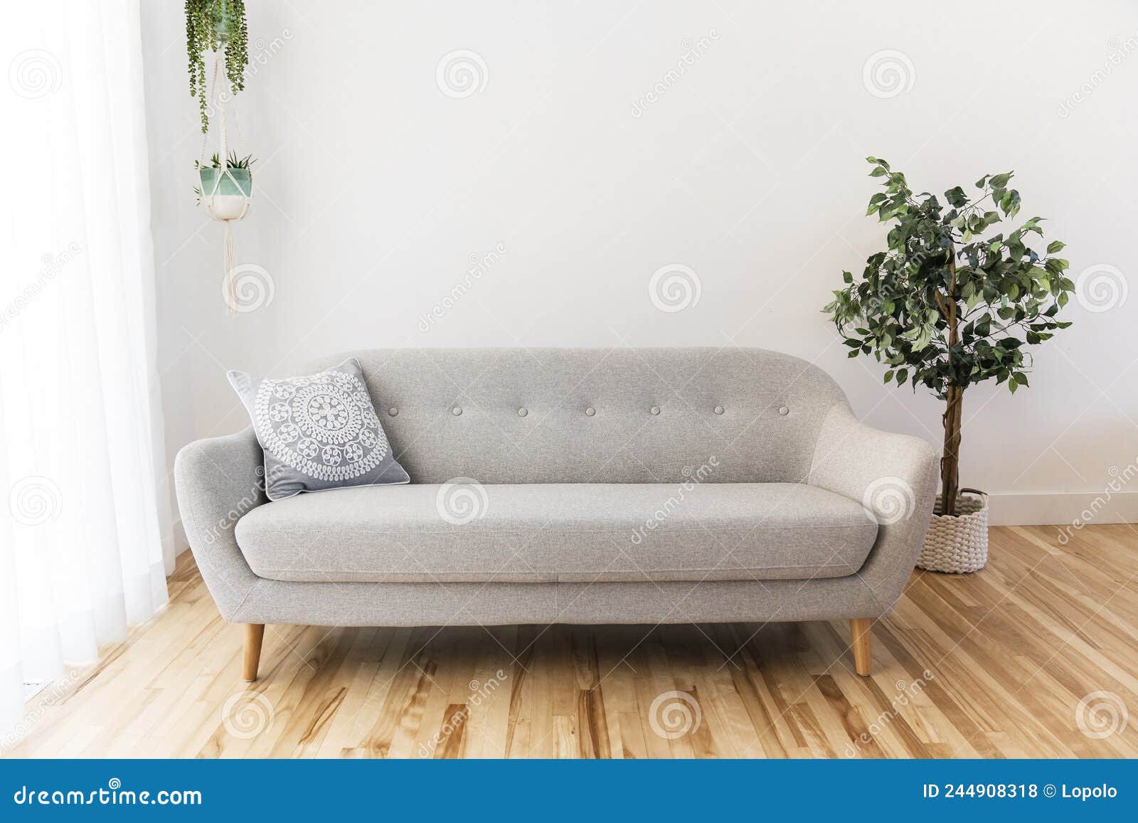 Modern Living Room with Grey Couch Sofa Stock Photo Image of tree