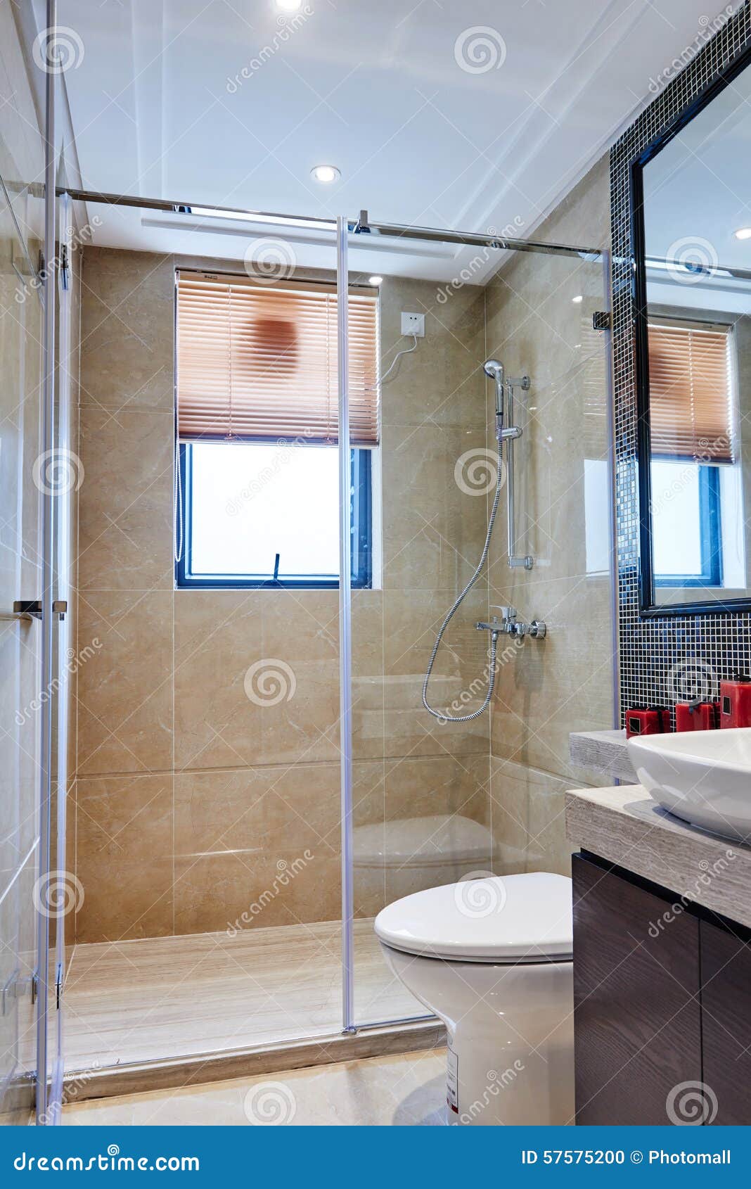 European Toilet Shower