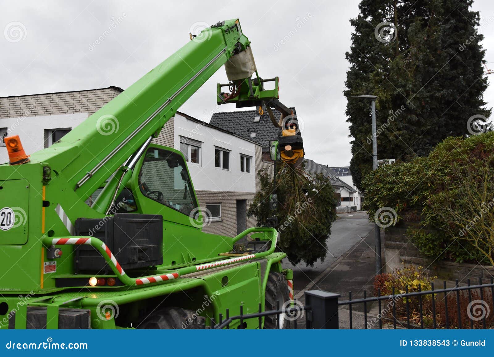 Tree Felling In A Private Garden Stock Image Image Of Labour