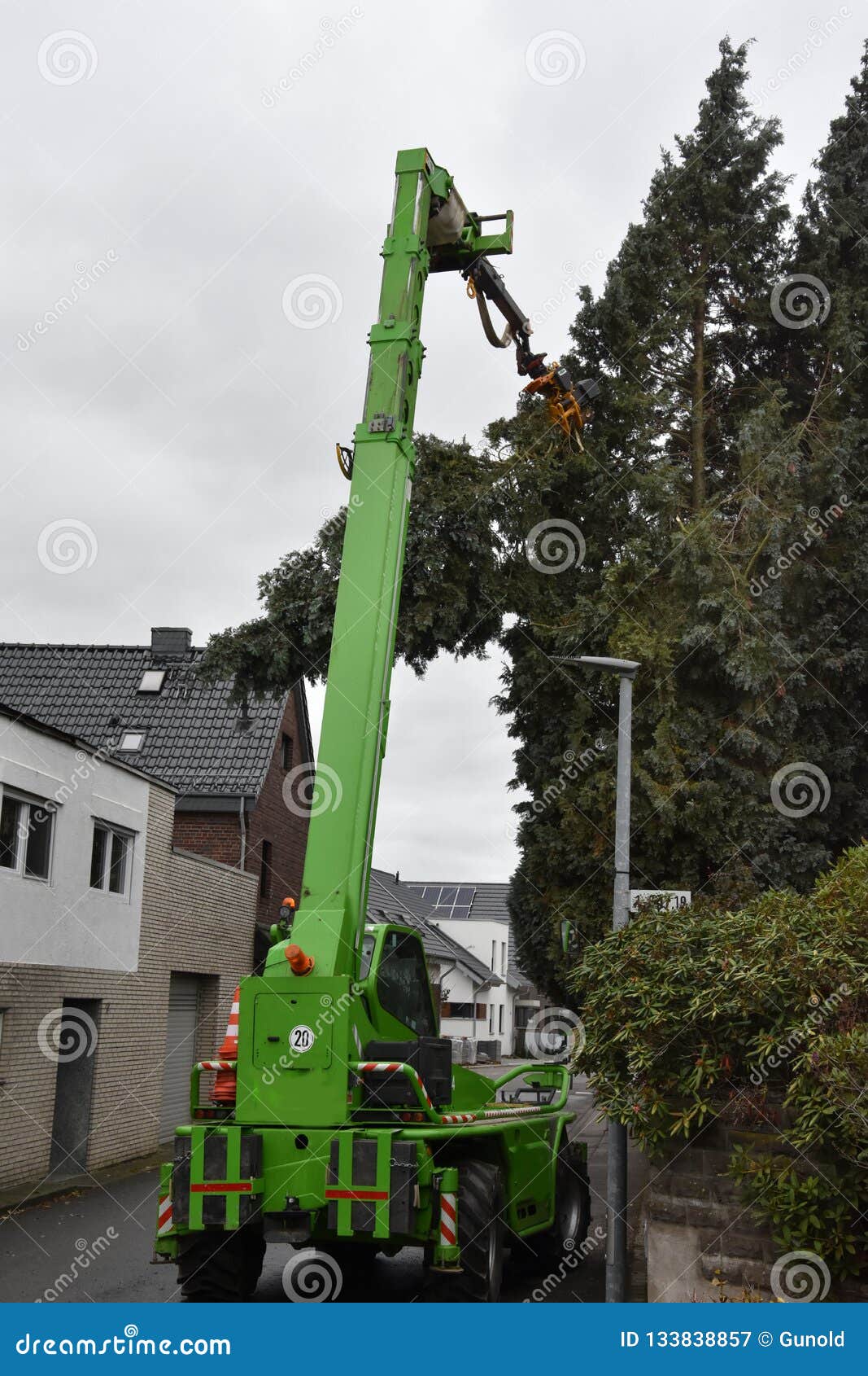 Tree Felling In A Private Garden Stock Image Image Of Fell City