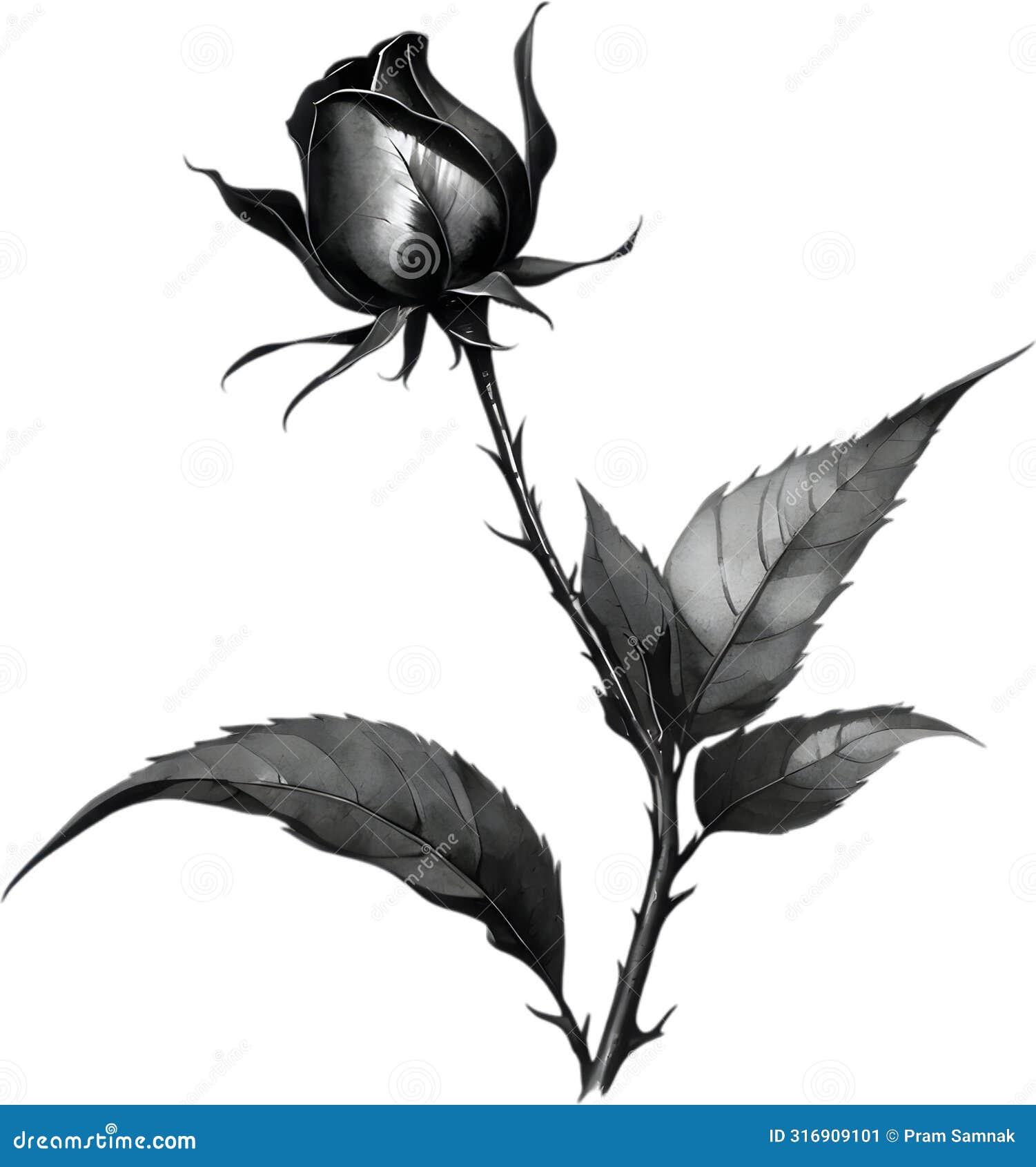 a single black sumi-e rosebud with a sharp thorn.