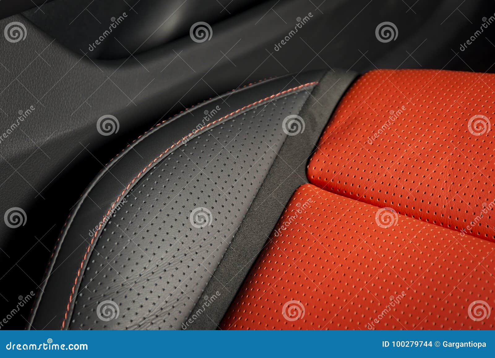 Car Leather Interior 