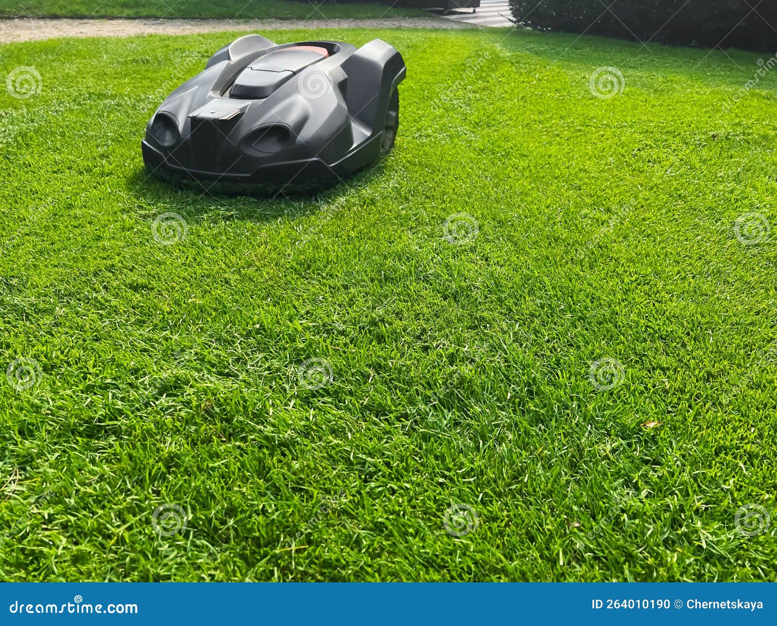 Modern Robot Lawn Mower on Green Grass in Garden Stock Photo Image of