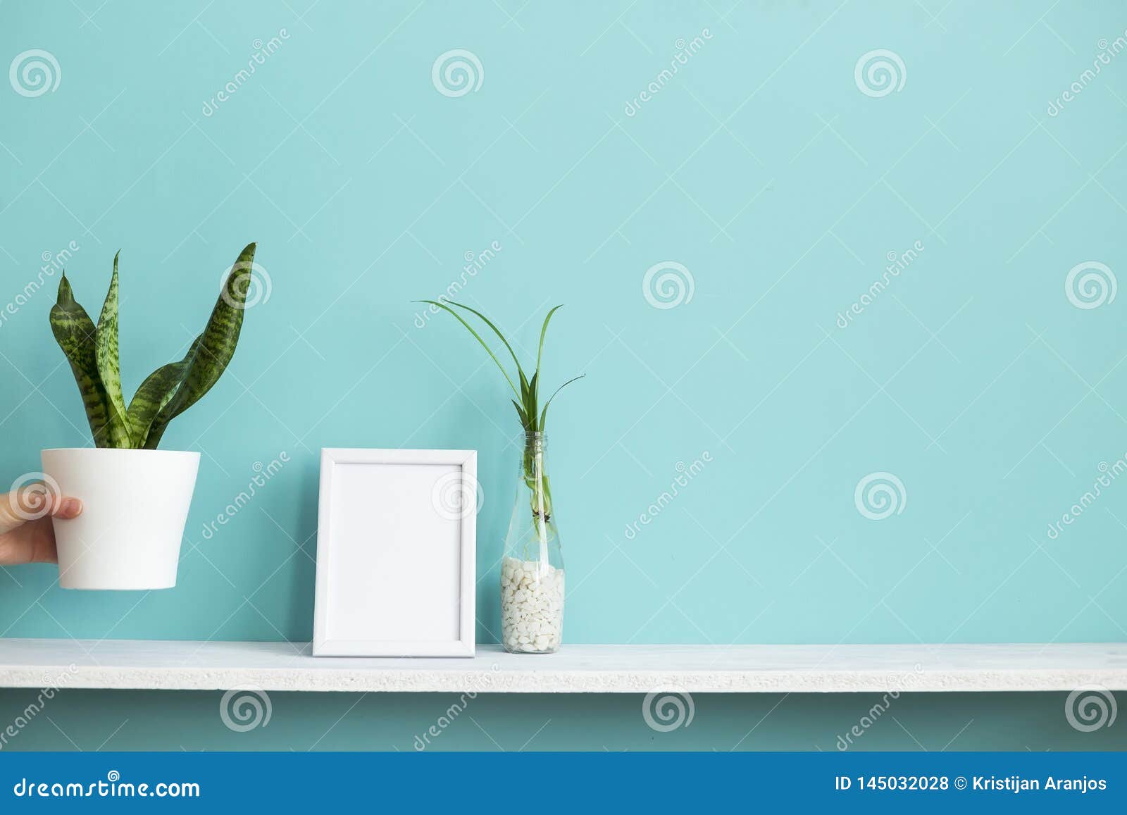 Download Modern Room Decoration With Picture Frame Mockup. White Shelf Against Pastel Turquoise Wall With ...