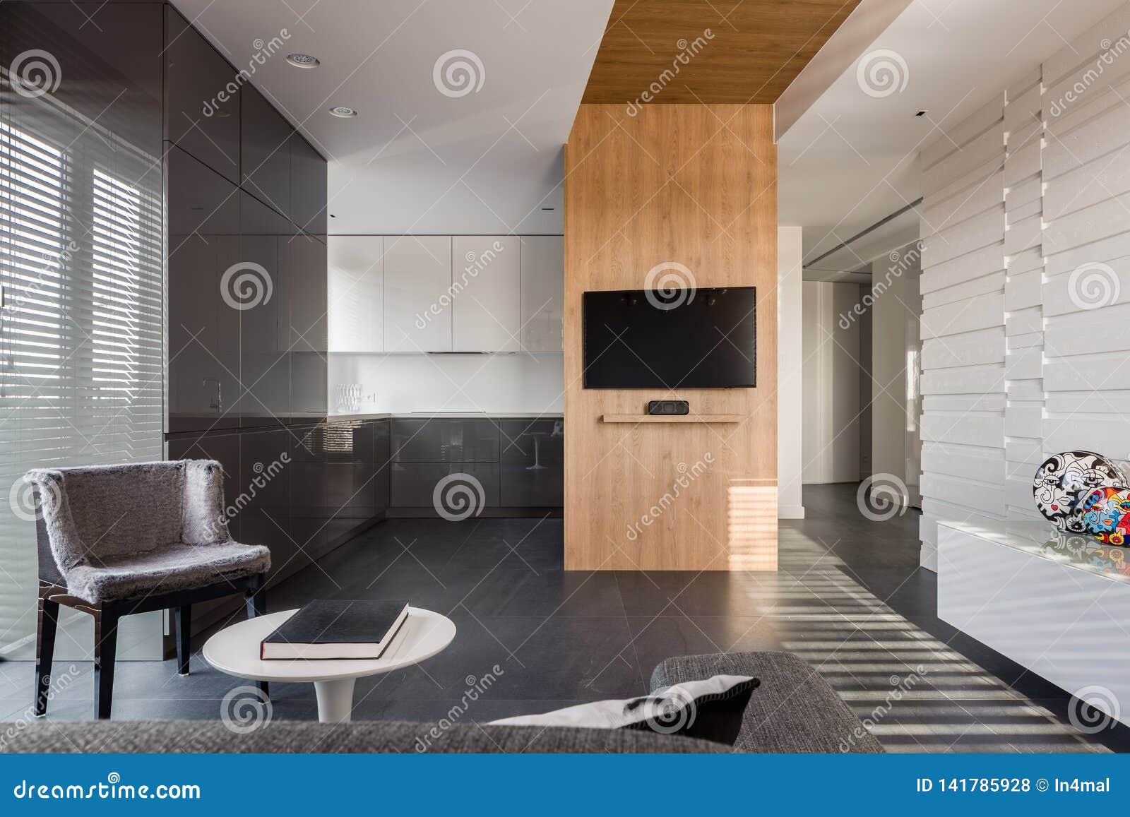 Modern And Elegant Studio Apartment Stock Photo Image Of Book Ceiling 141785928