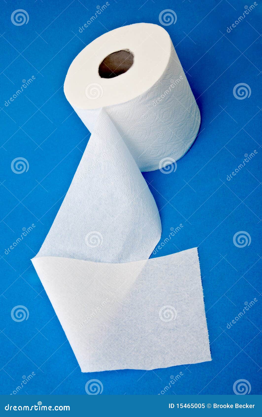 Modern Toilet Paper stock image. Image of toiletries 15465005