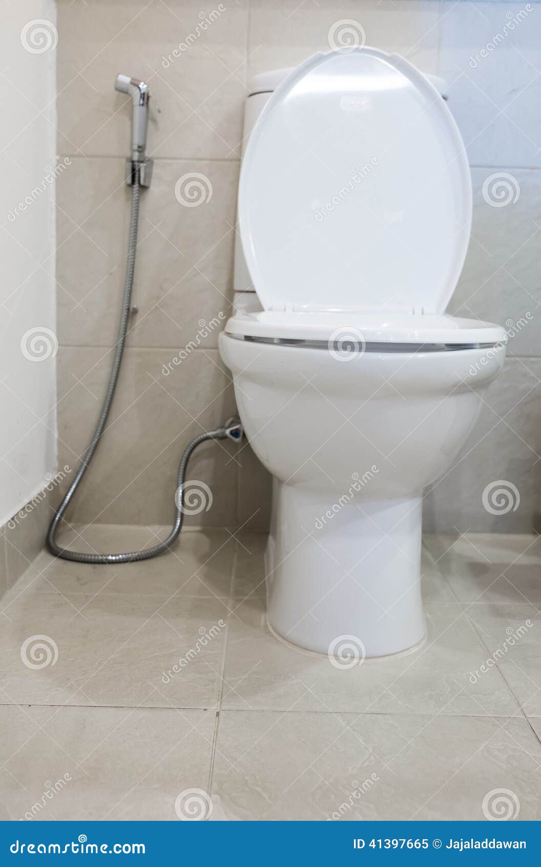 Modern toilet room stock image. Image of glass, bowel 41397665