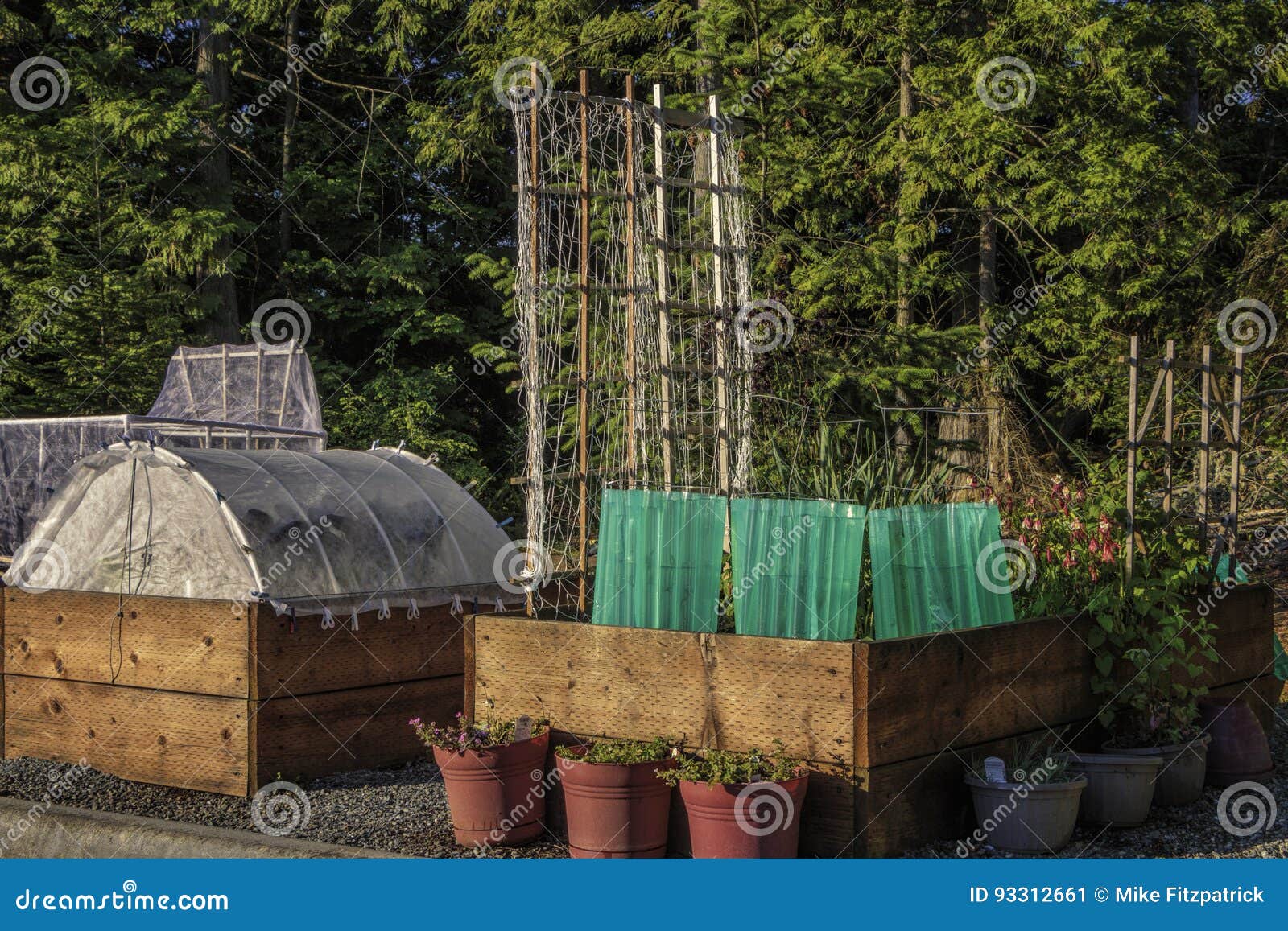 Modern Urban Gardening Raised Beds And Plant Screen Protectorsn