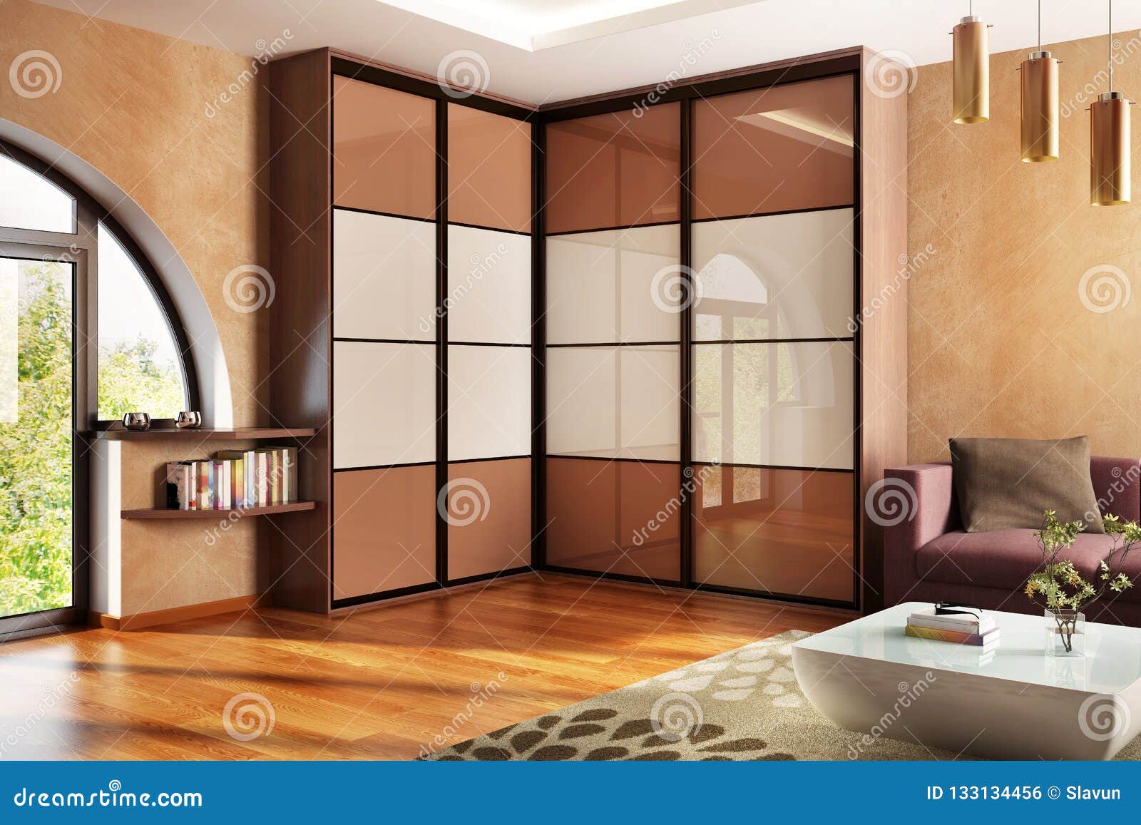 modern wardrobe in the big house