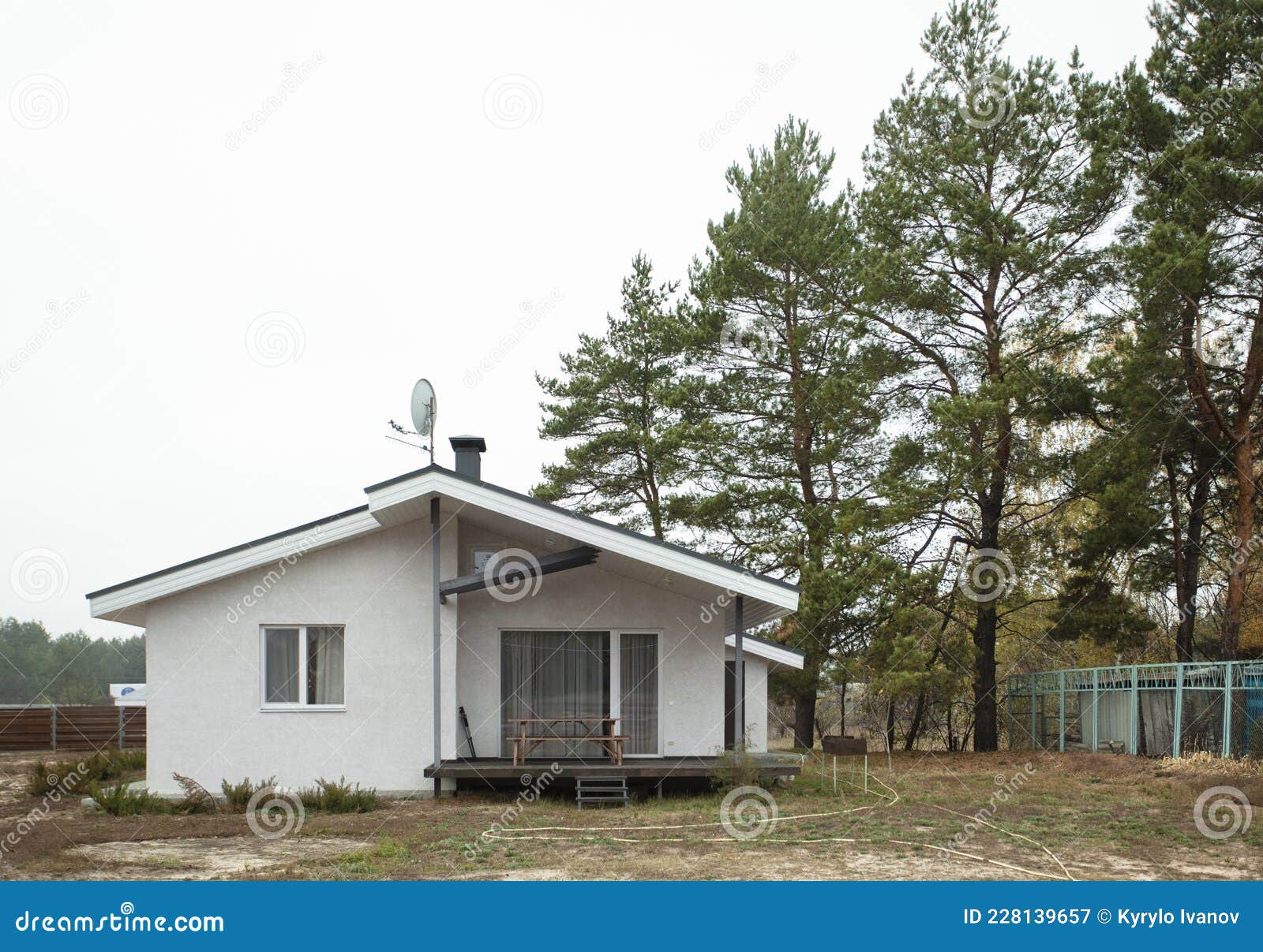 Modern White Frame House in Nature in Pine Forest. Space for Text Stock